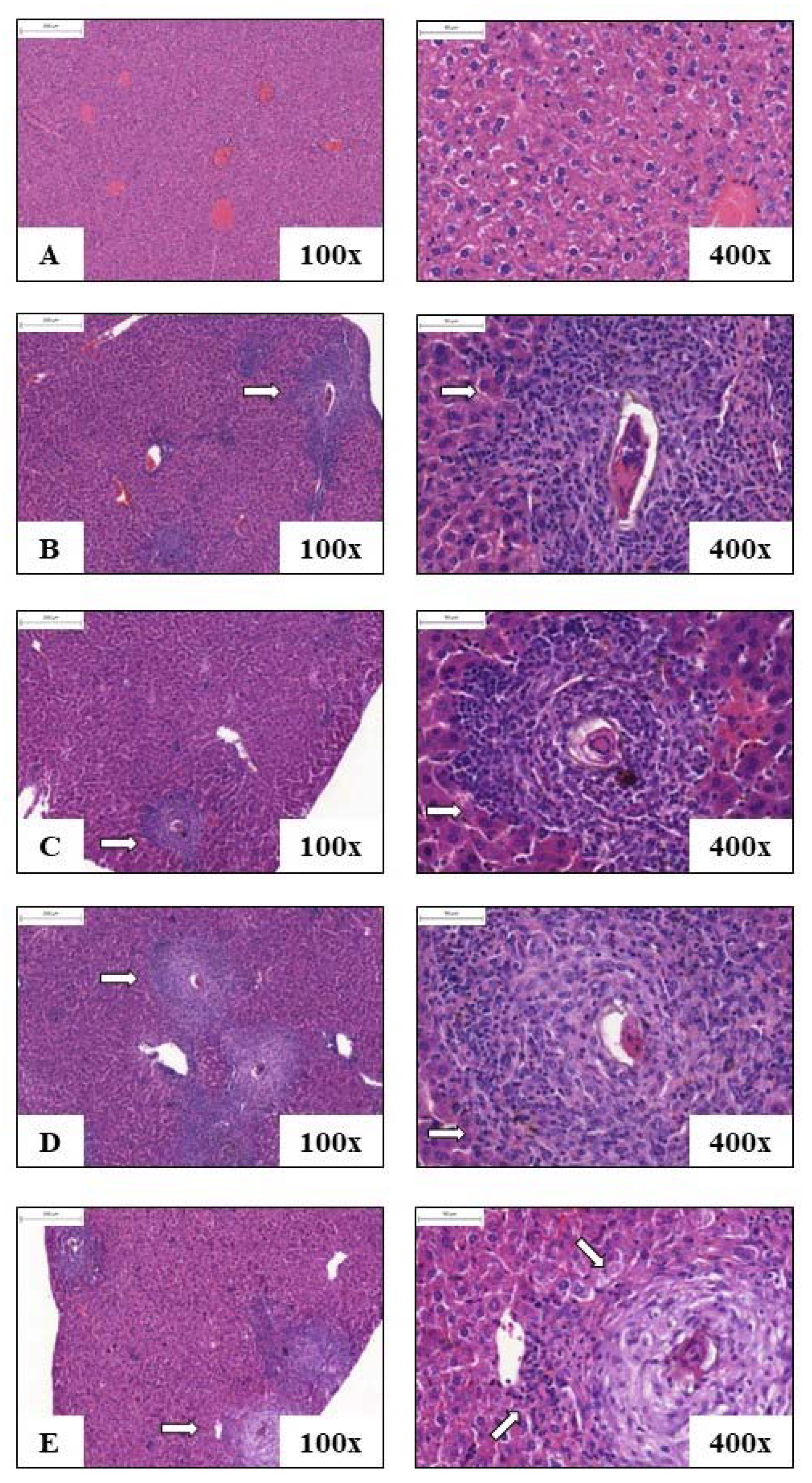 Pathogens 12 00069 g006