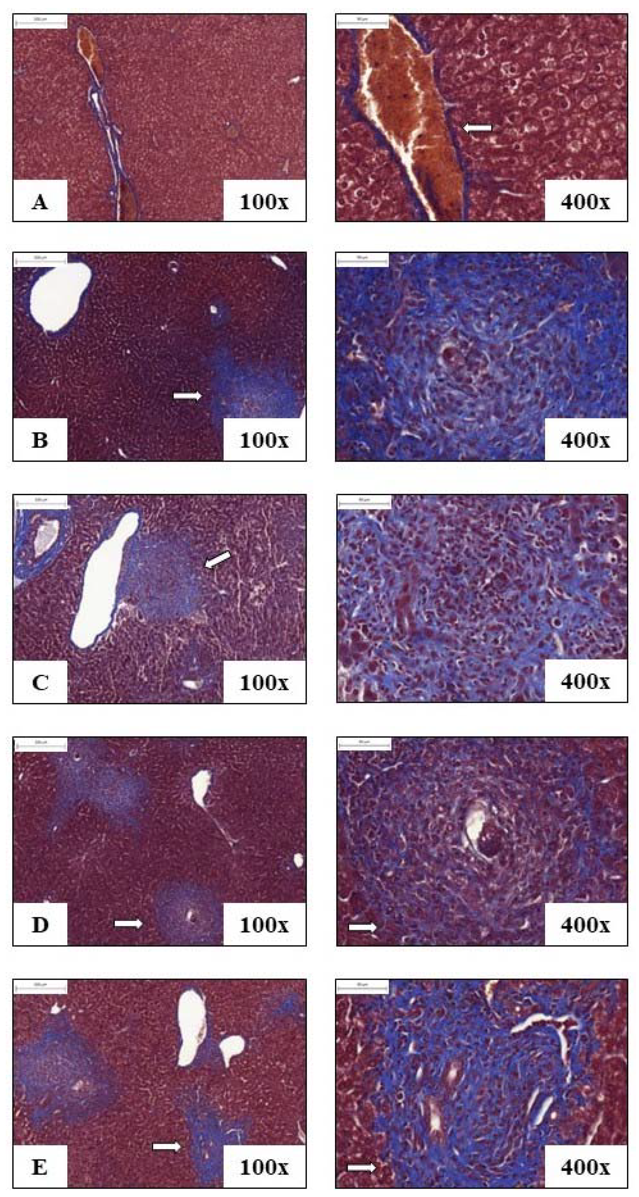 Pathogens 12 00069 g007