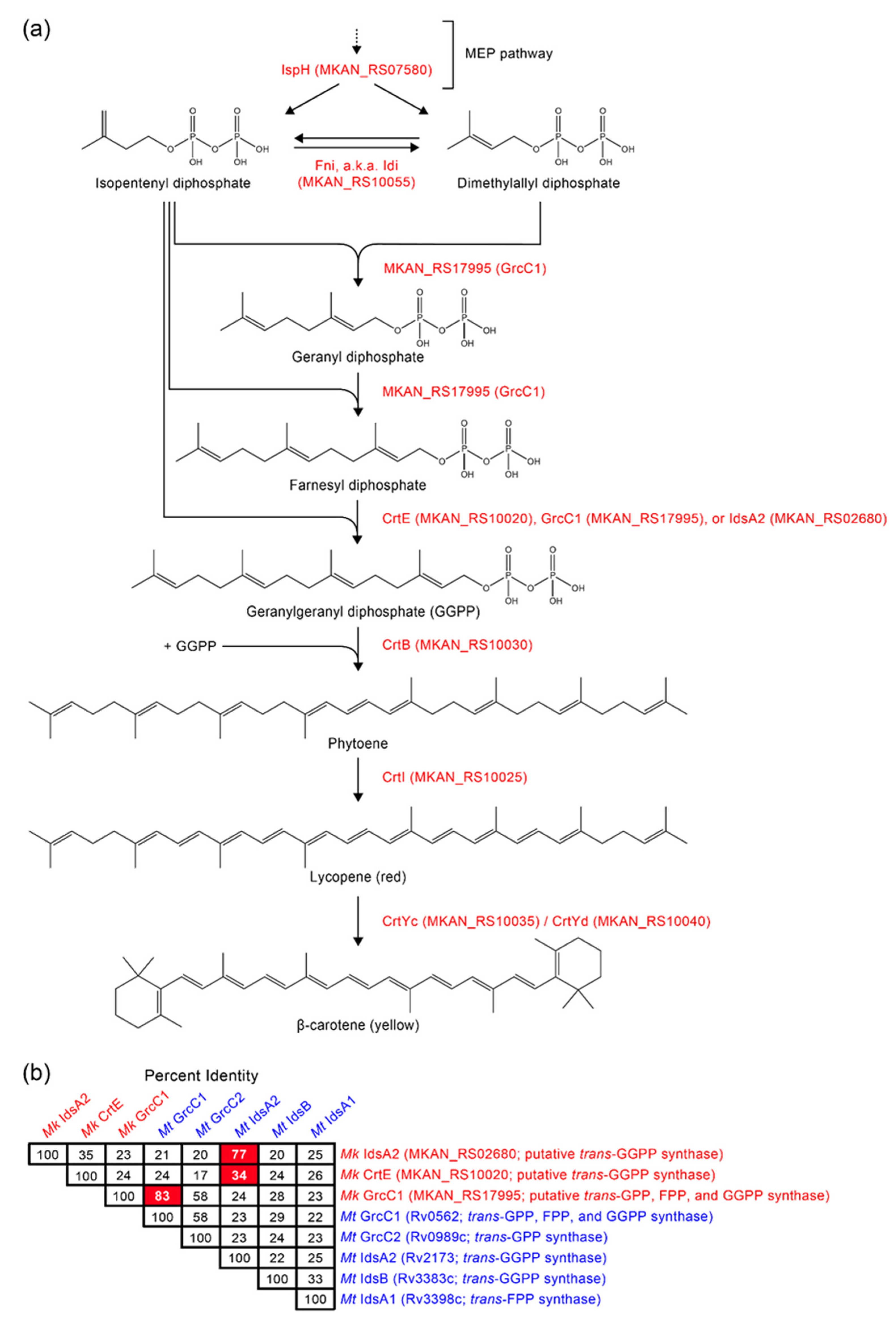 Pathogens 12 00086 g003 Pathogens 12 00086 g003