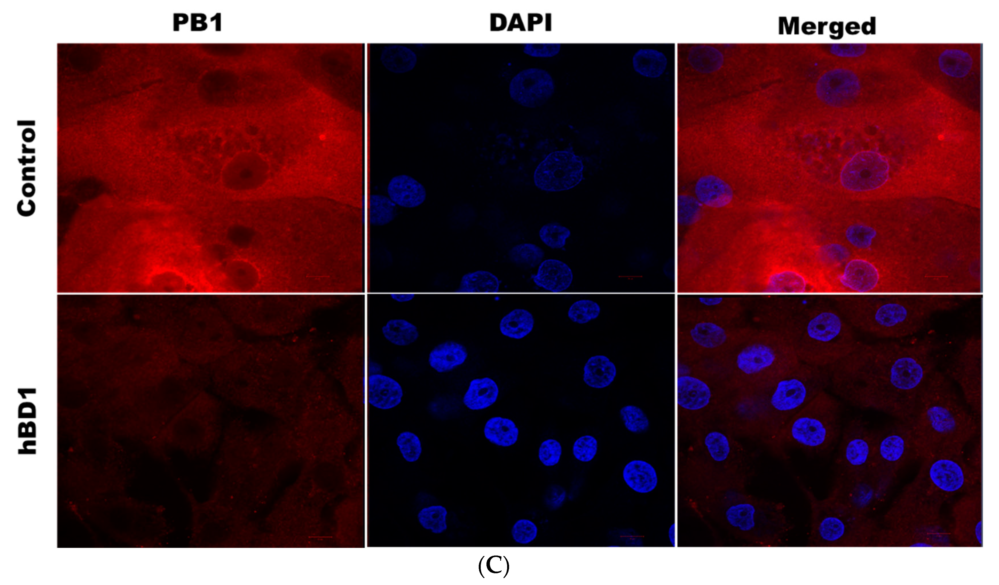 Pathogens 12 00123 g003b Pathogens 12 00123 g003b