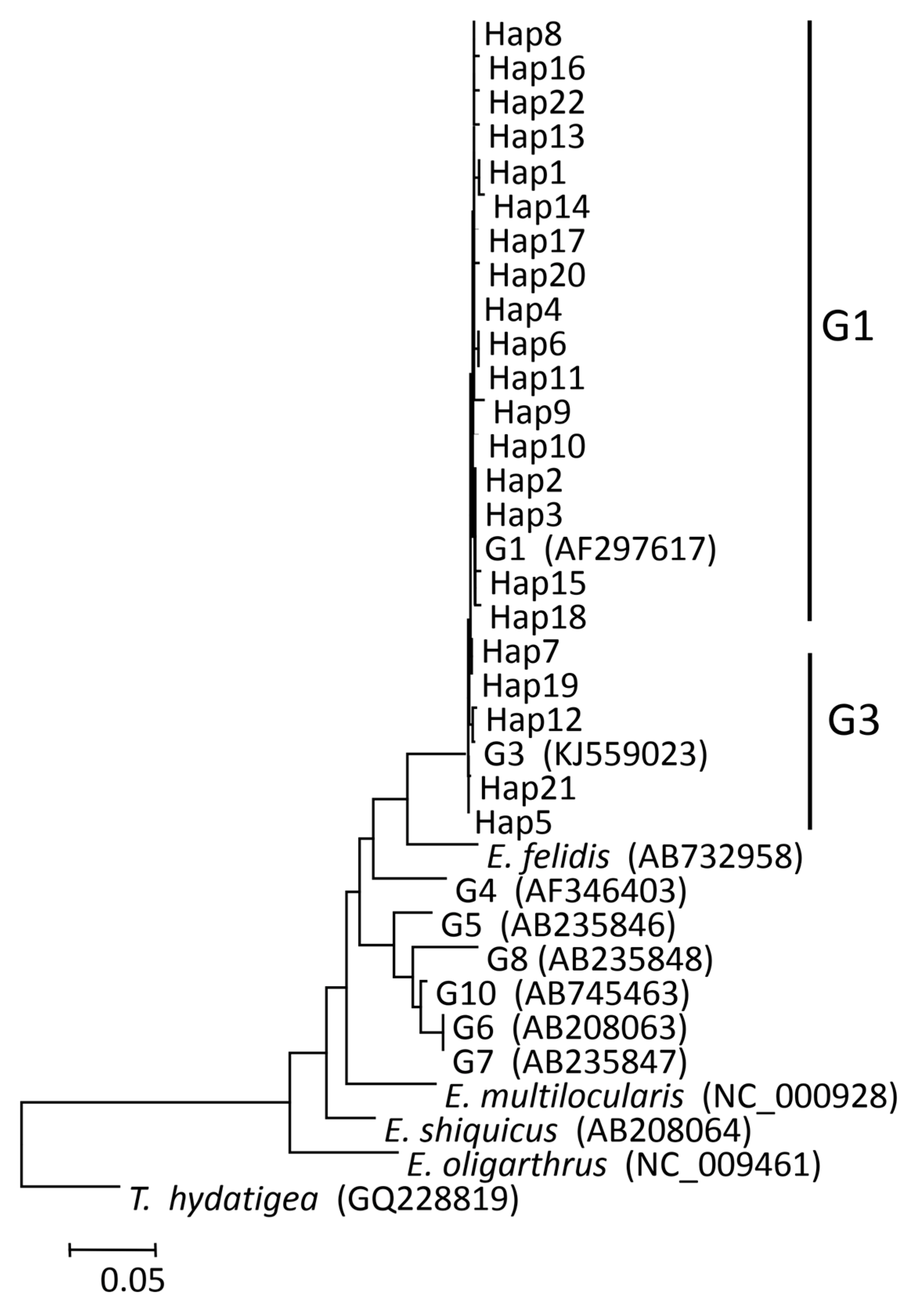 Pathogens | Free Full-Text | Survey and Molecular Characterization of  Echinococcus granulosus&nbsp;sensu stricto from Livestock and Humans in the  Altai Region of Xinjiang, China