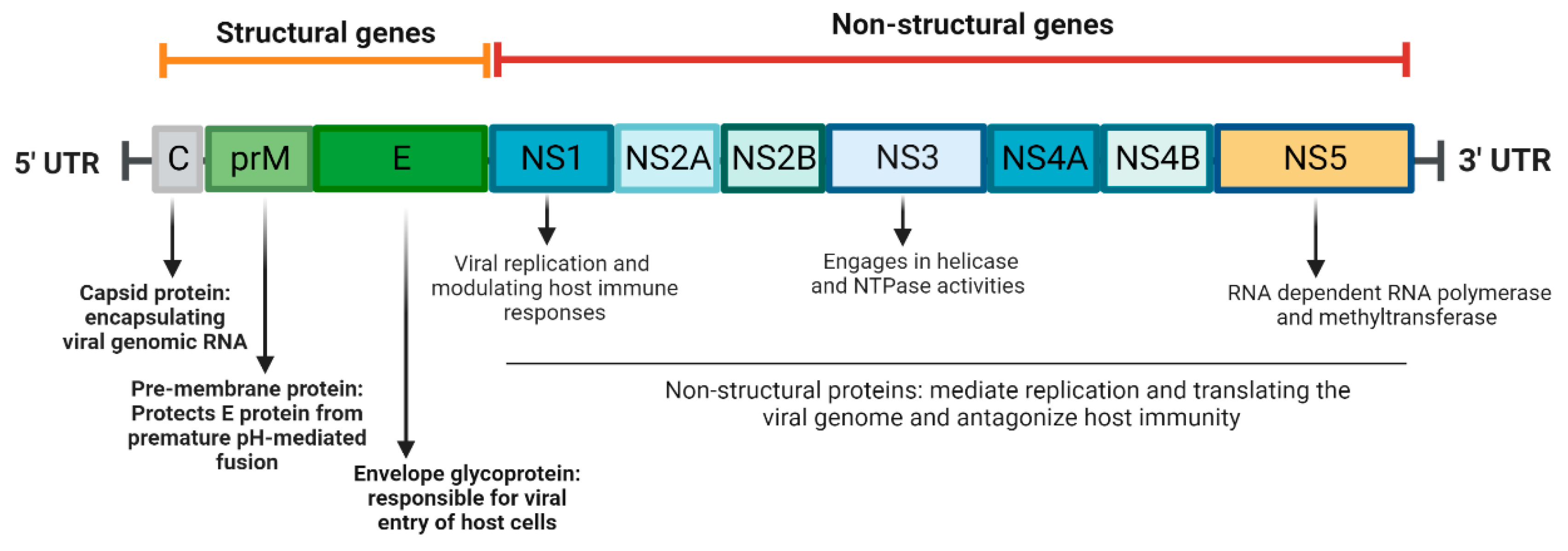 Pathogens 12 00194 g001