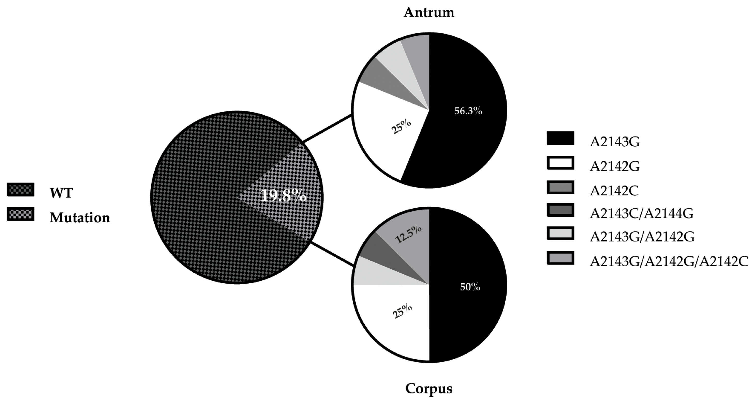 Pathogens 12 00234 g002 Pathogens 12 00234 g002