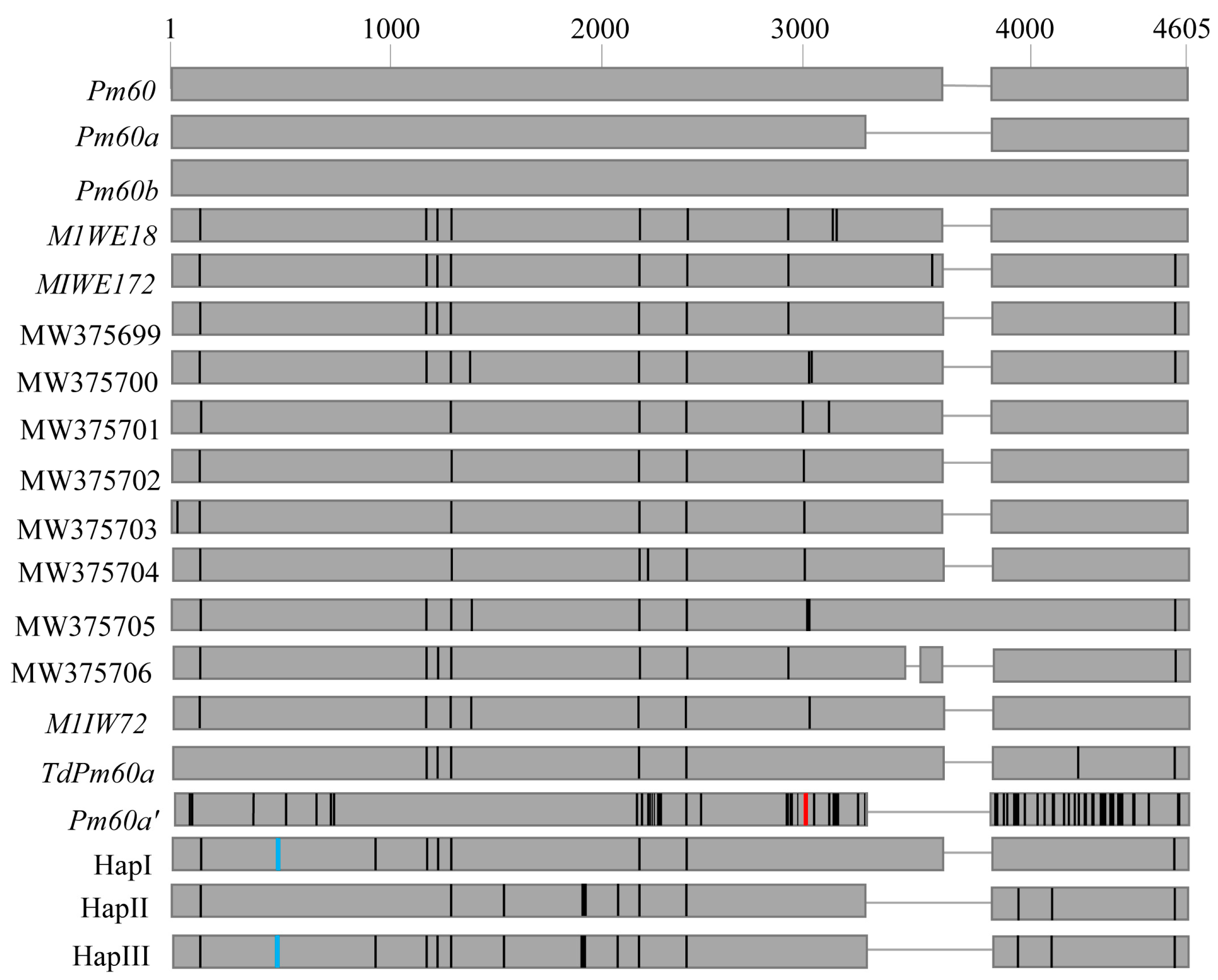 Pathogens 12 00241 g002