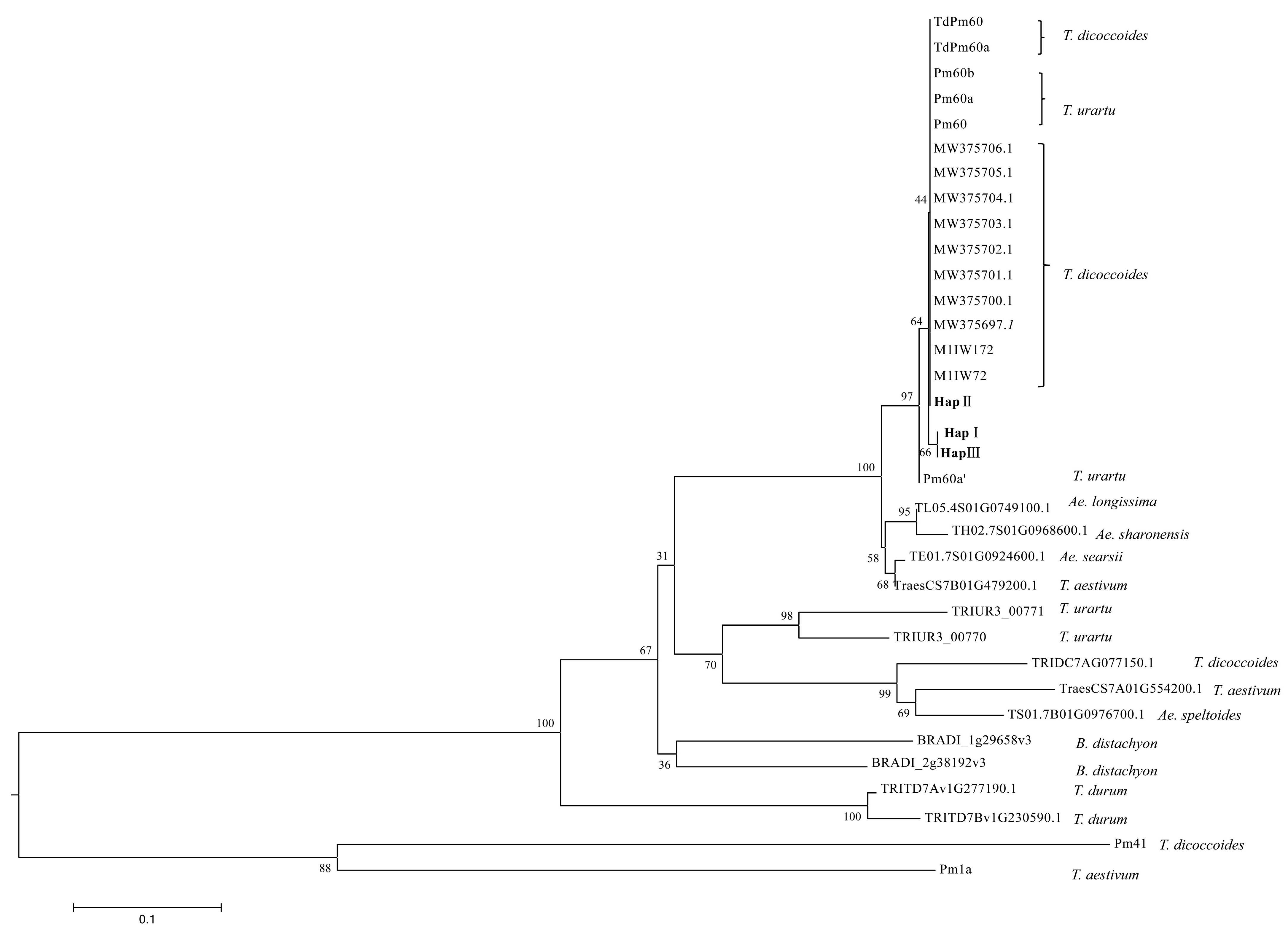 Pathogens 12 00241 g003