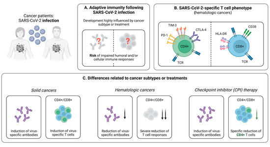 Pathogens | Free Full-Text | SARS-CoV-2-Specific T Cell Responses in  Immunocompromised Individuals with Cancer, HIV or Solid Organ Transplants