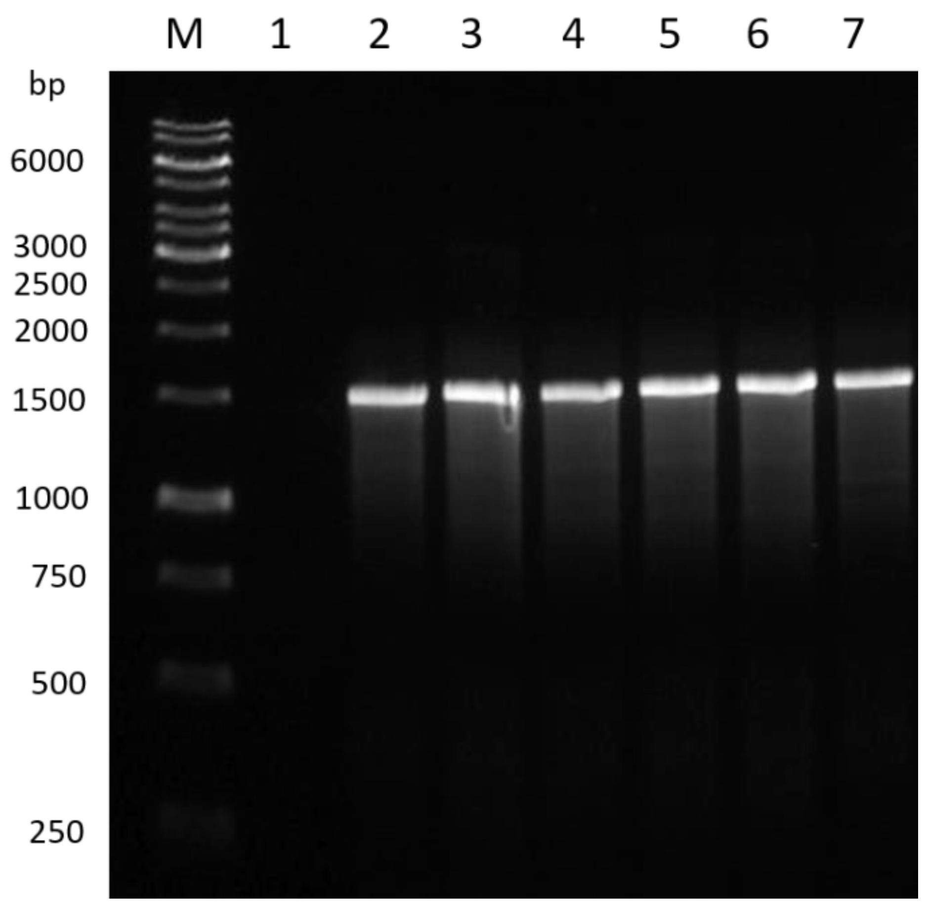 Pathogens 12 00254 g001