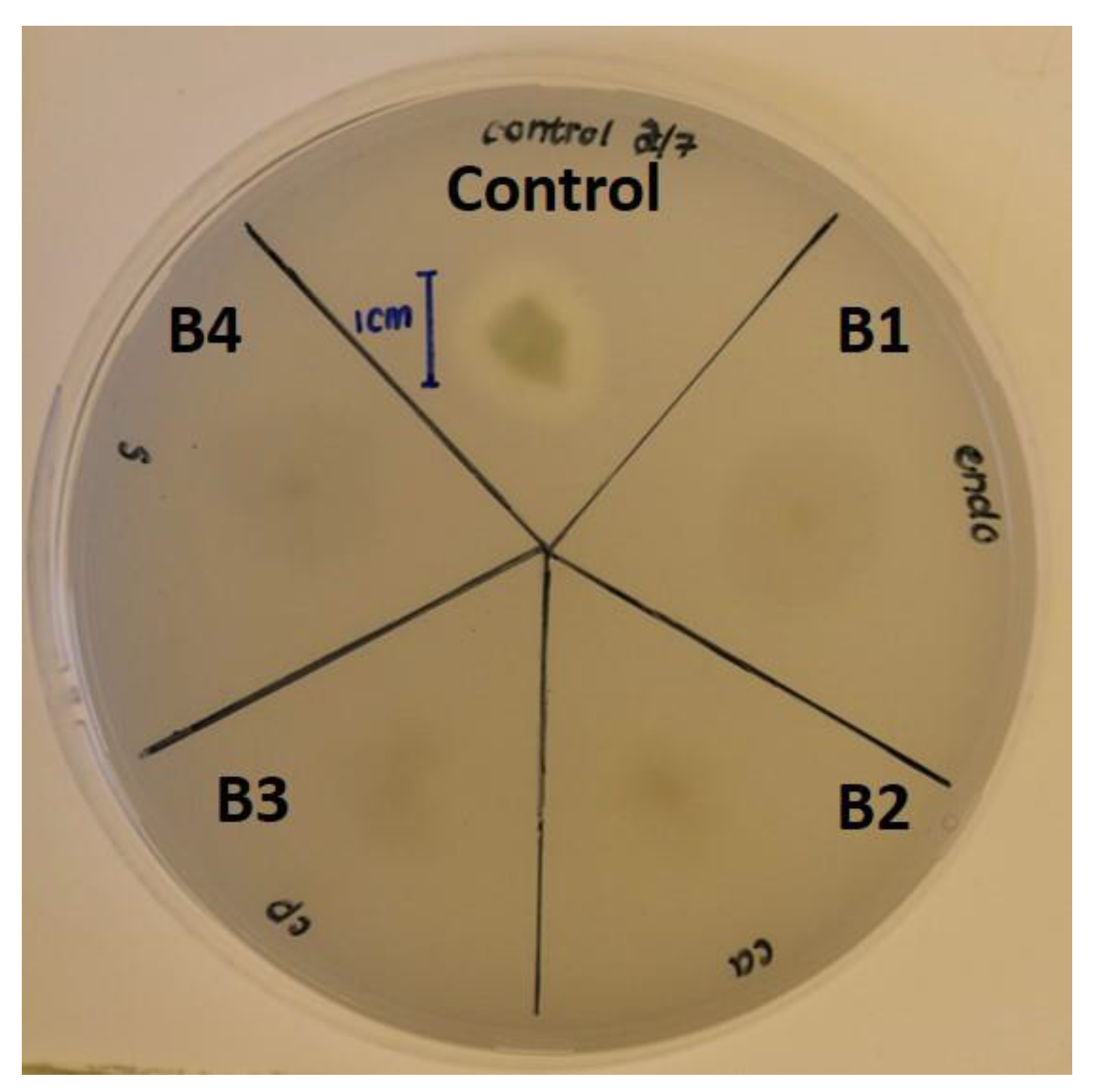 Pathogens 12 00254 g004