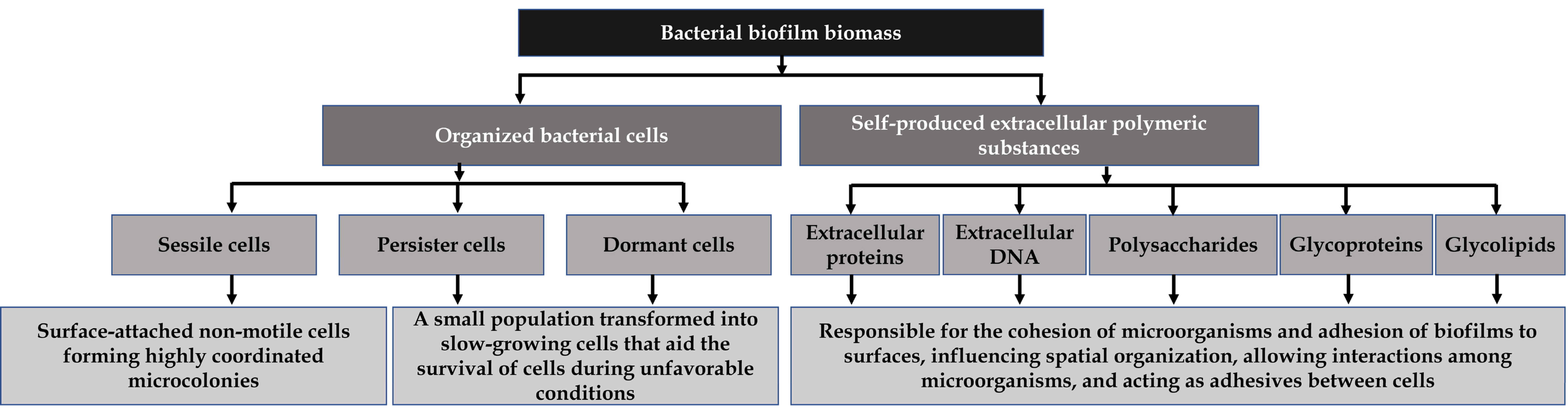 Pathogens 12 00270 g001 Pathogens 12 00270 g001