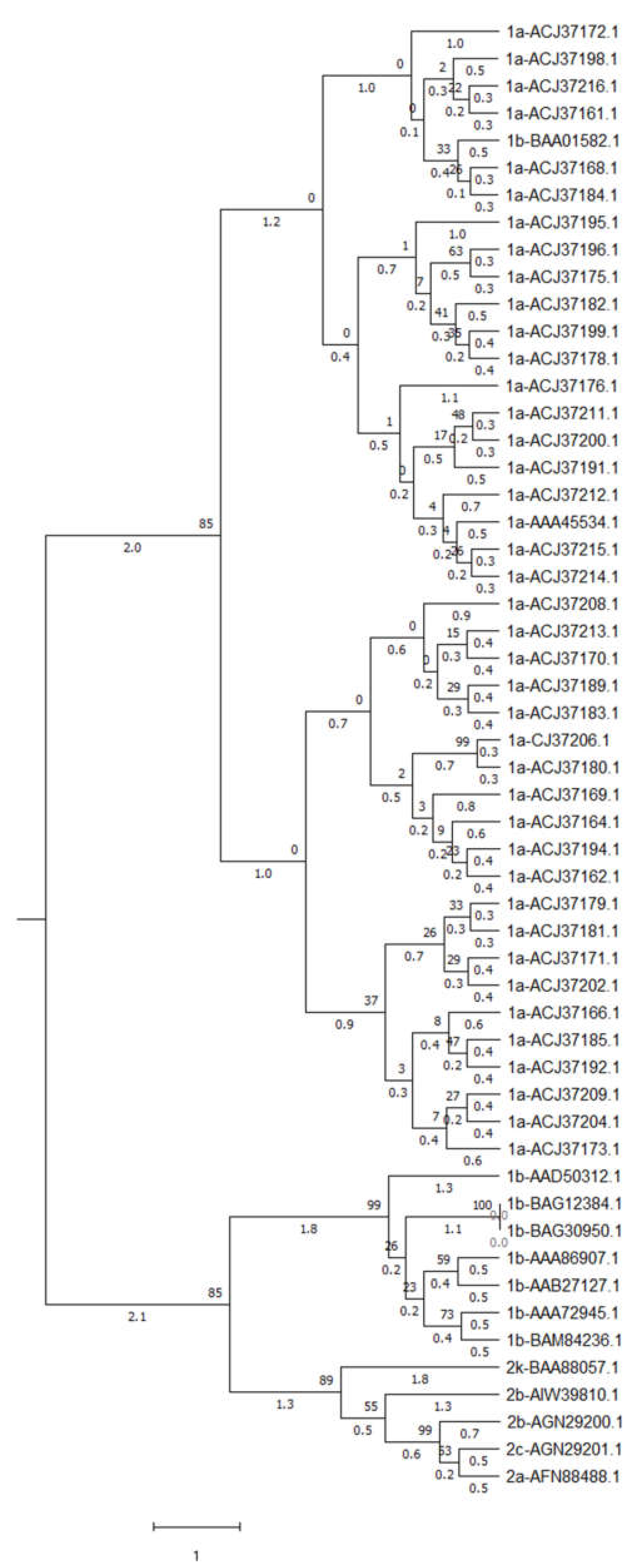 Pathogens 12 00325 g008