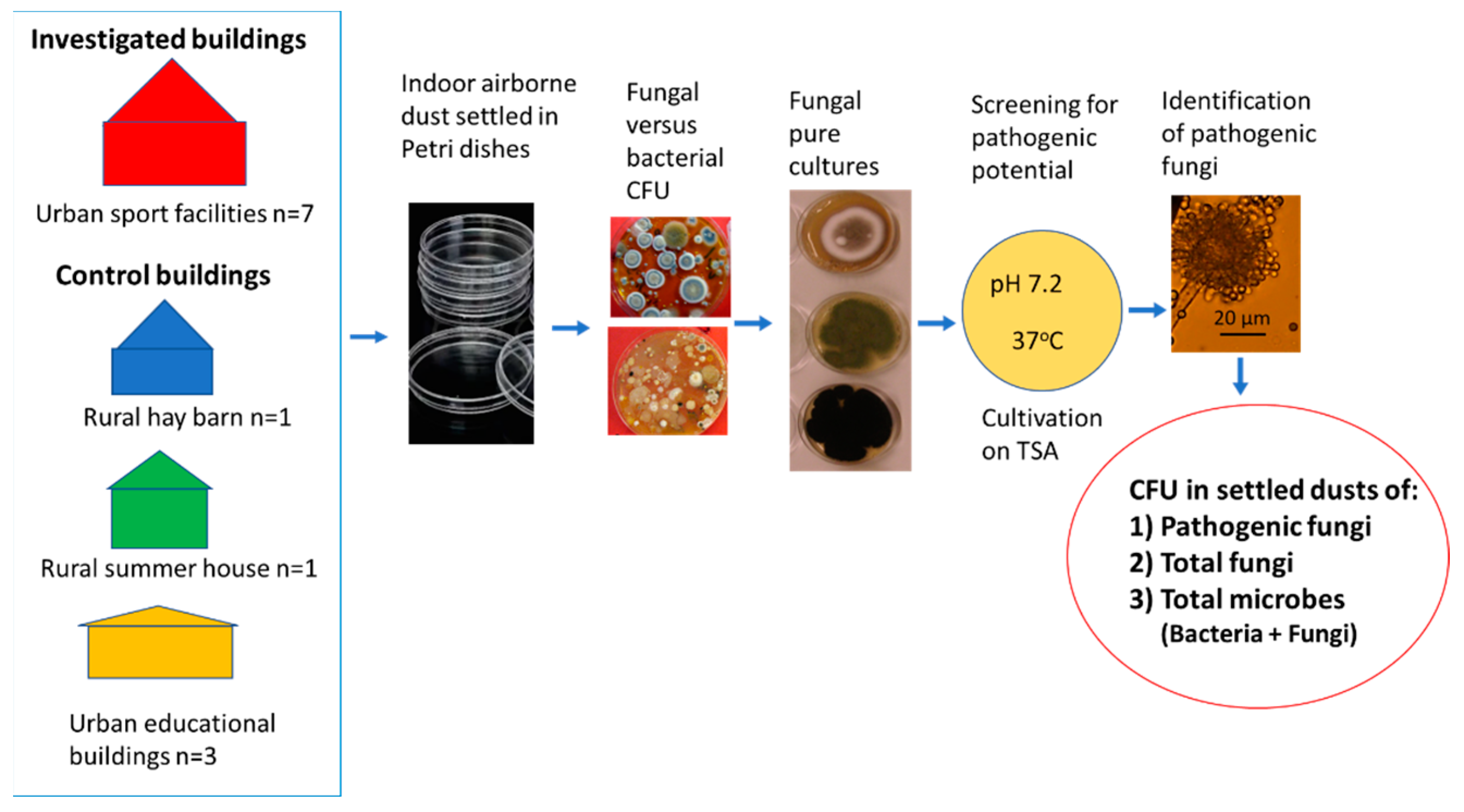 Pathogens 12 00339 g005 Pathogens 12 00339 g005