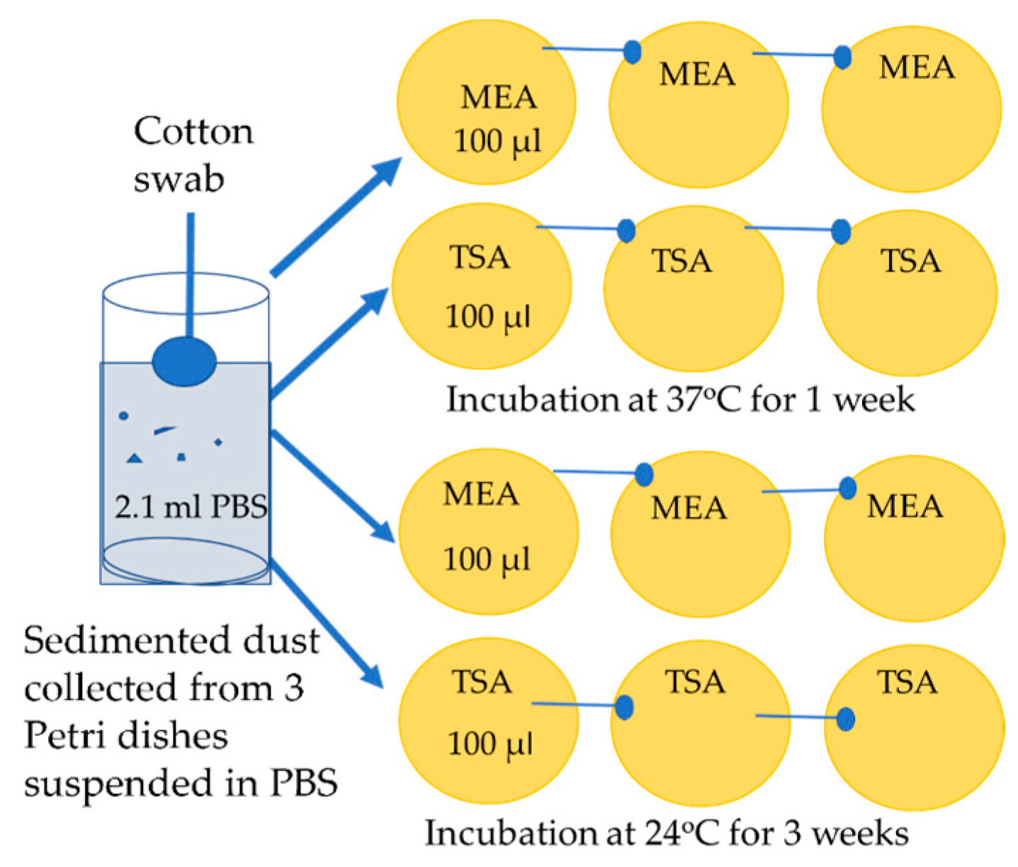 Pathogens 12 00339 g007 Pathogens 12 00339 g007