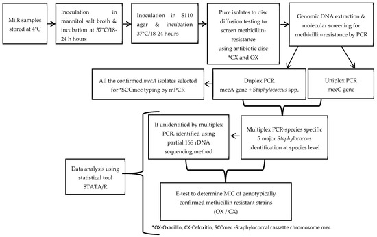 Pathogens | Free Full-Text | Molecular Characterization of Methicillin ...