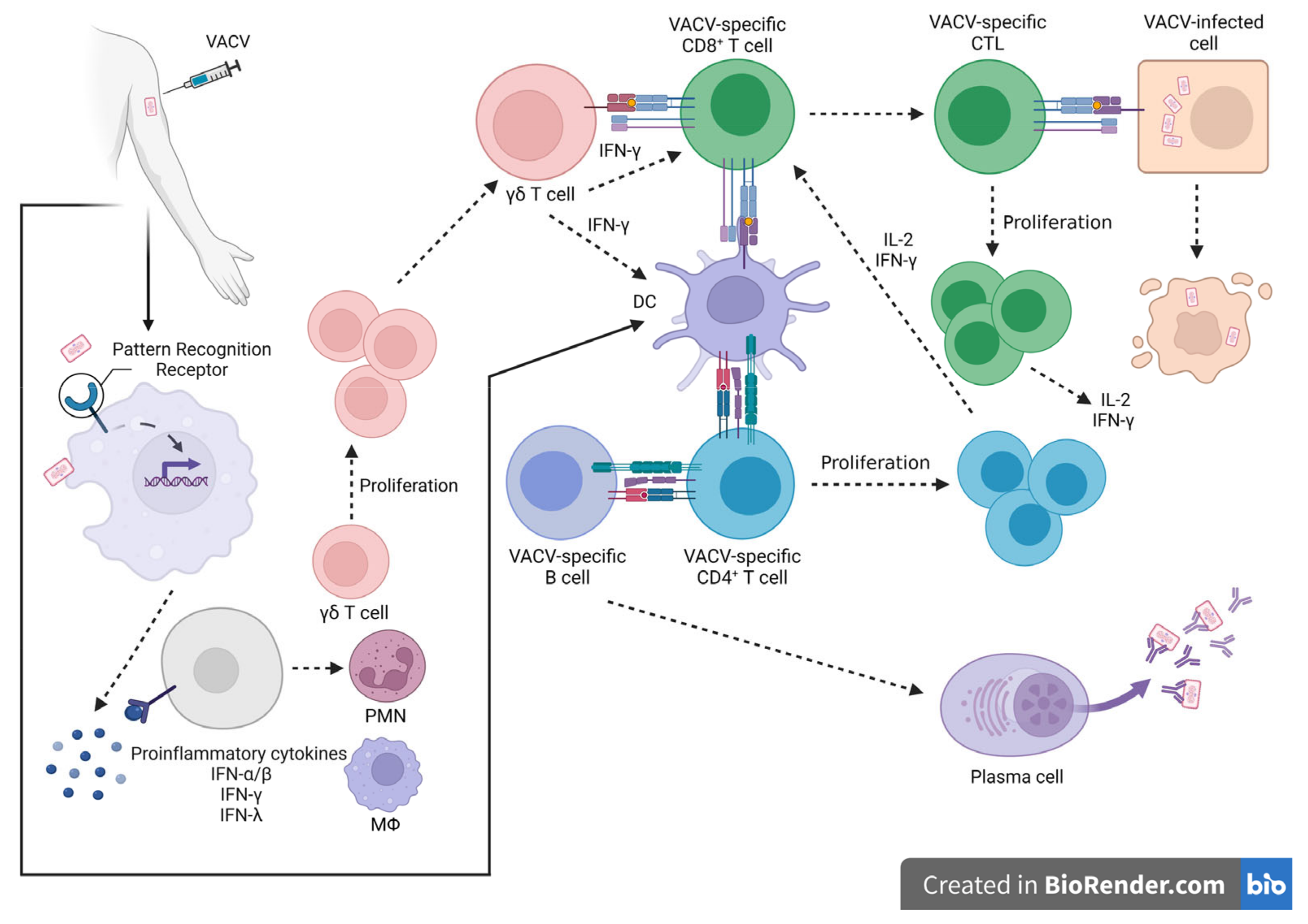 Pathogens 12 00363 g004 Pathogens 12 00363 g004