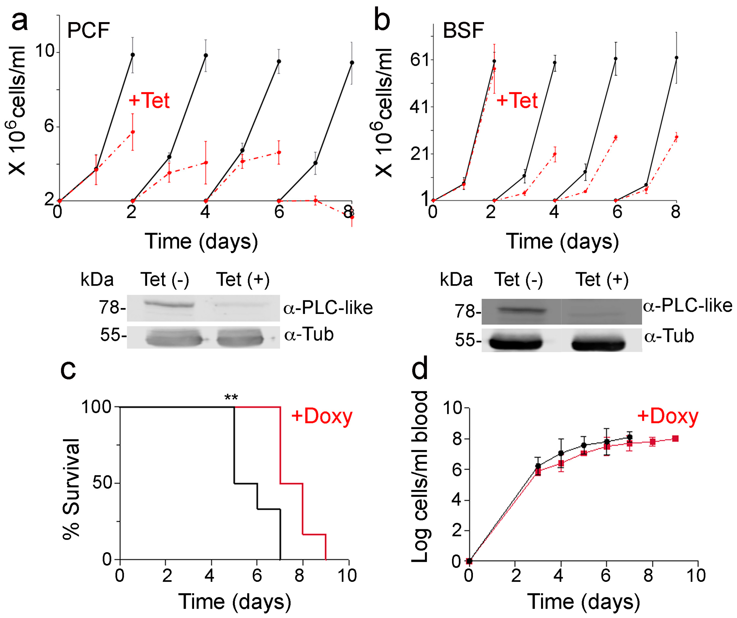 Pathogens 12 00386 g007