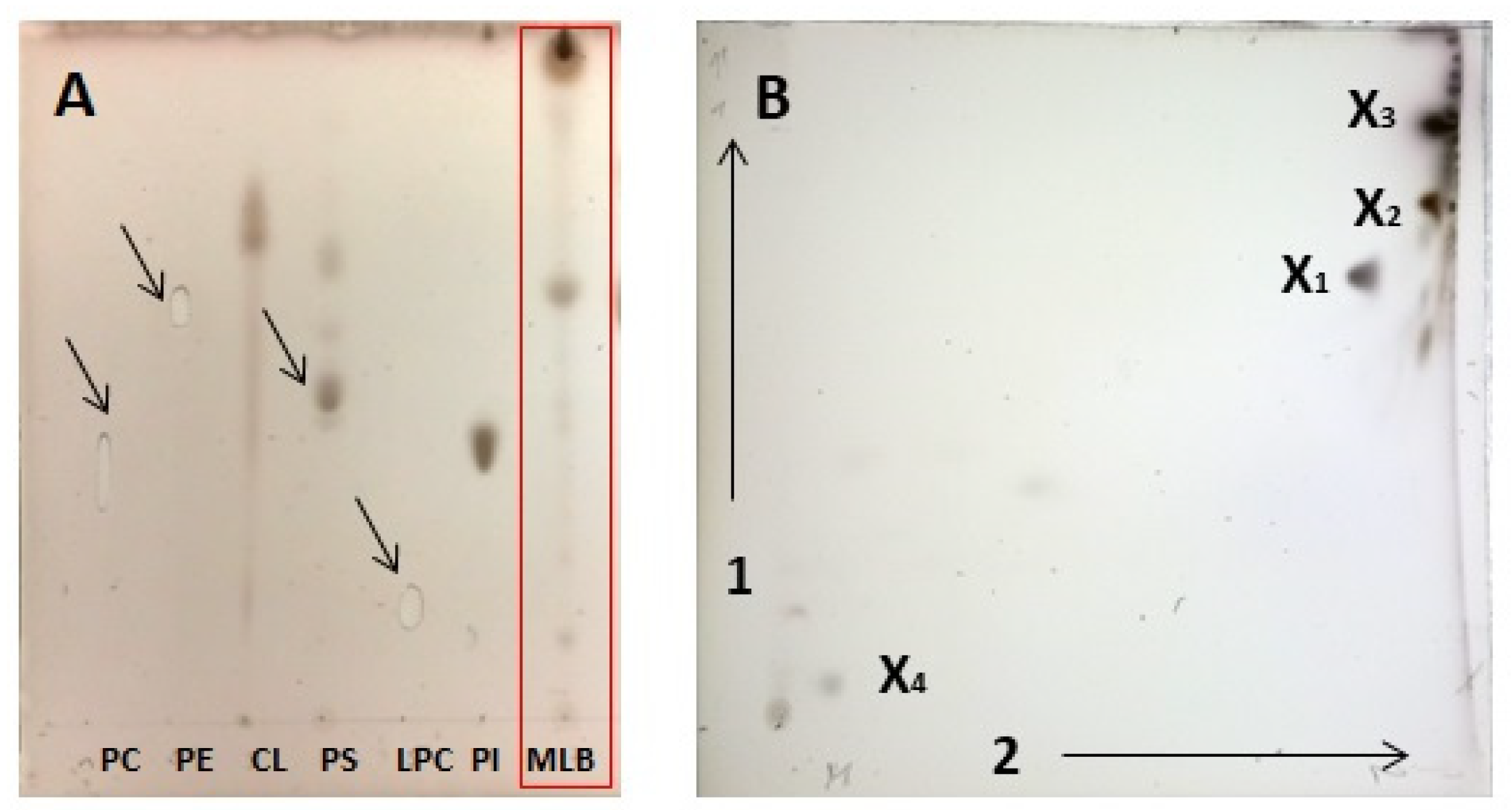 Pathogens 12 00411 g002 Pathogens 12 00411 g002