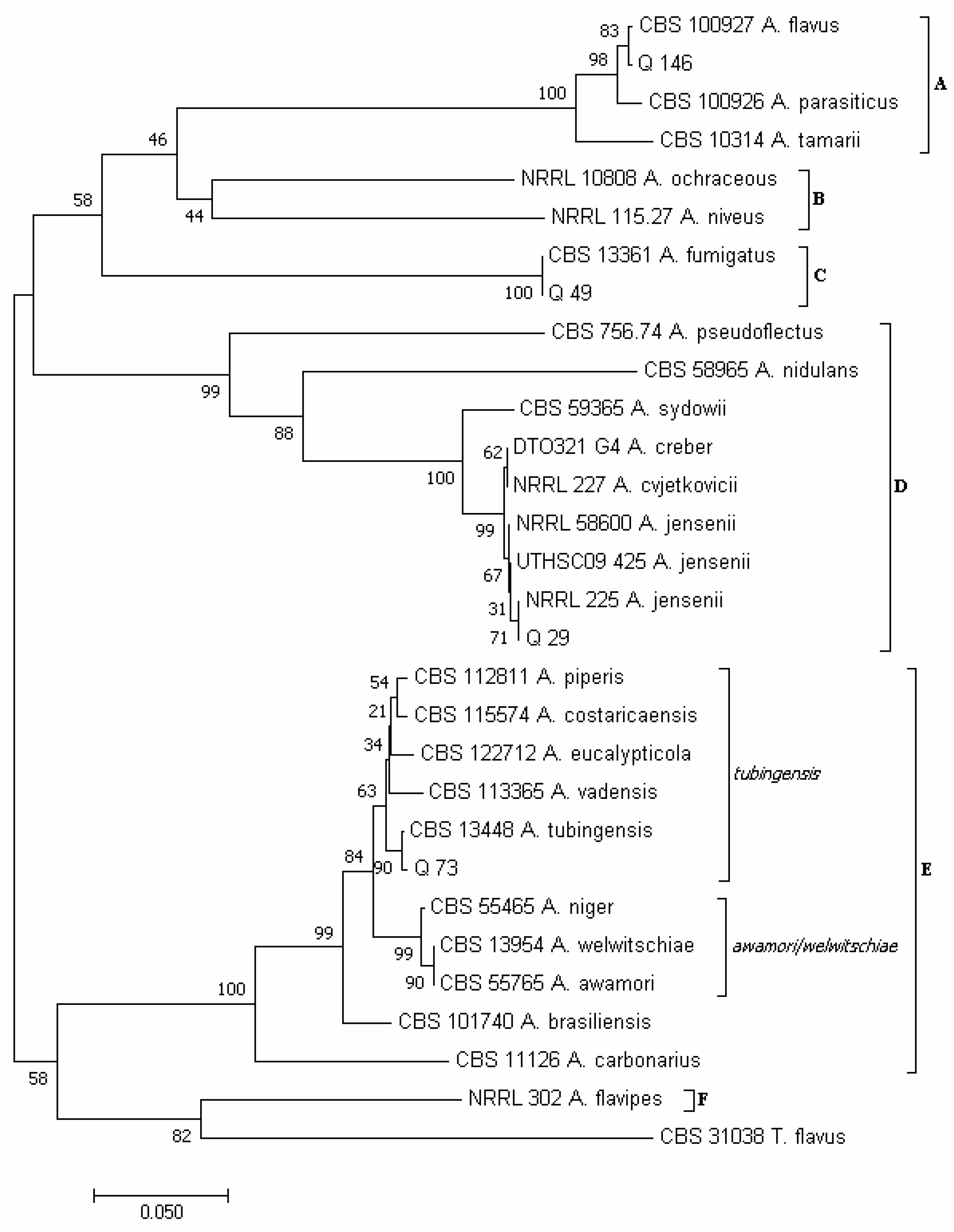 Pathogens 12 00418 g006 Pathogens 12 00418 g006