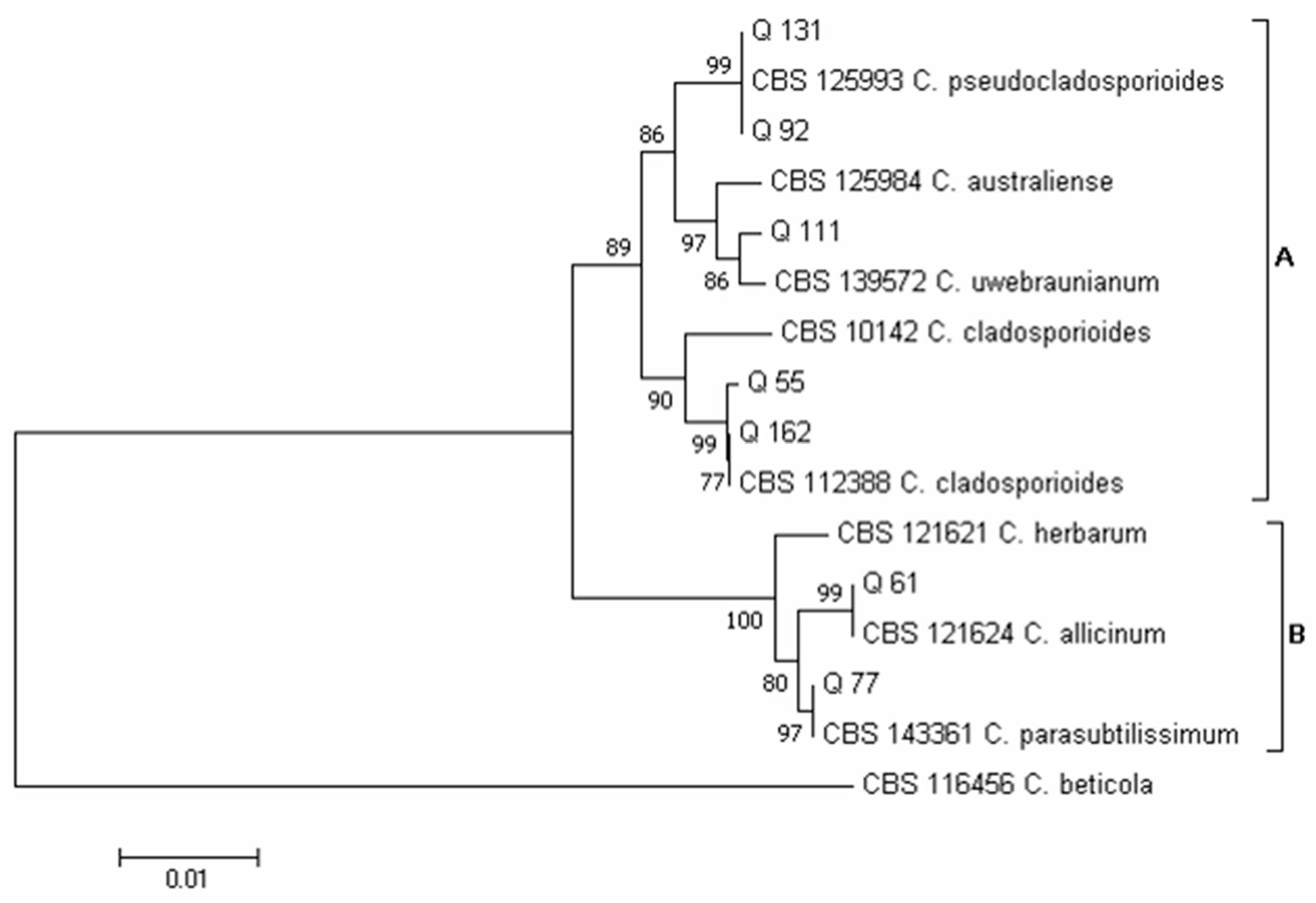 Pathogens 12 00418 g007 Pathogens 12 00418 g007