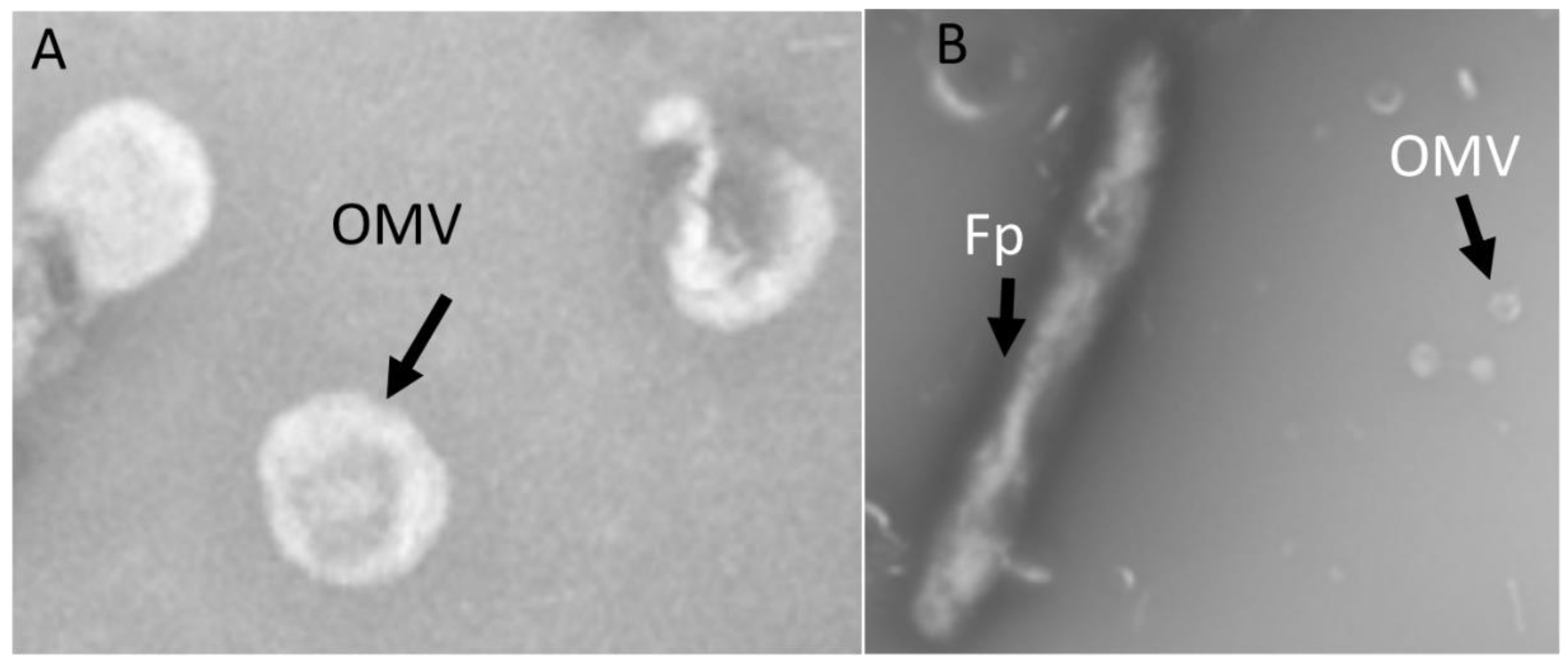 Pathogens 12 00436 g001