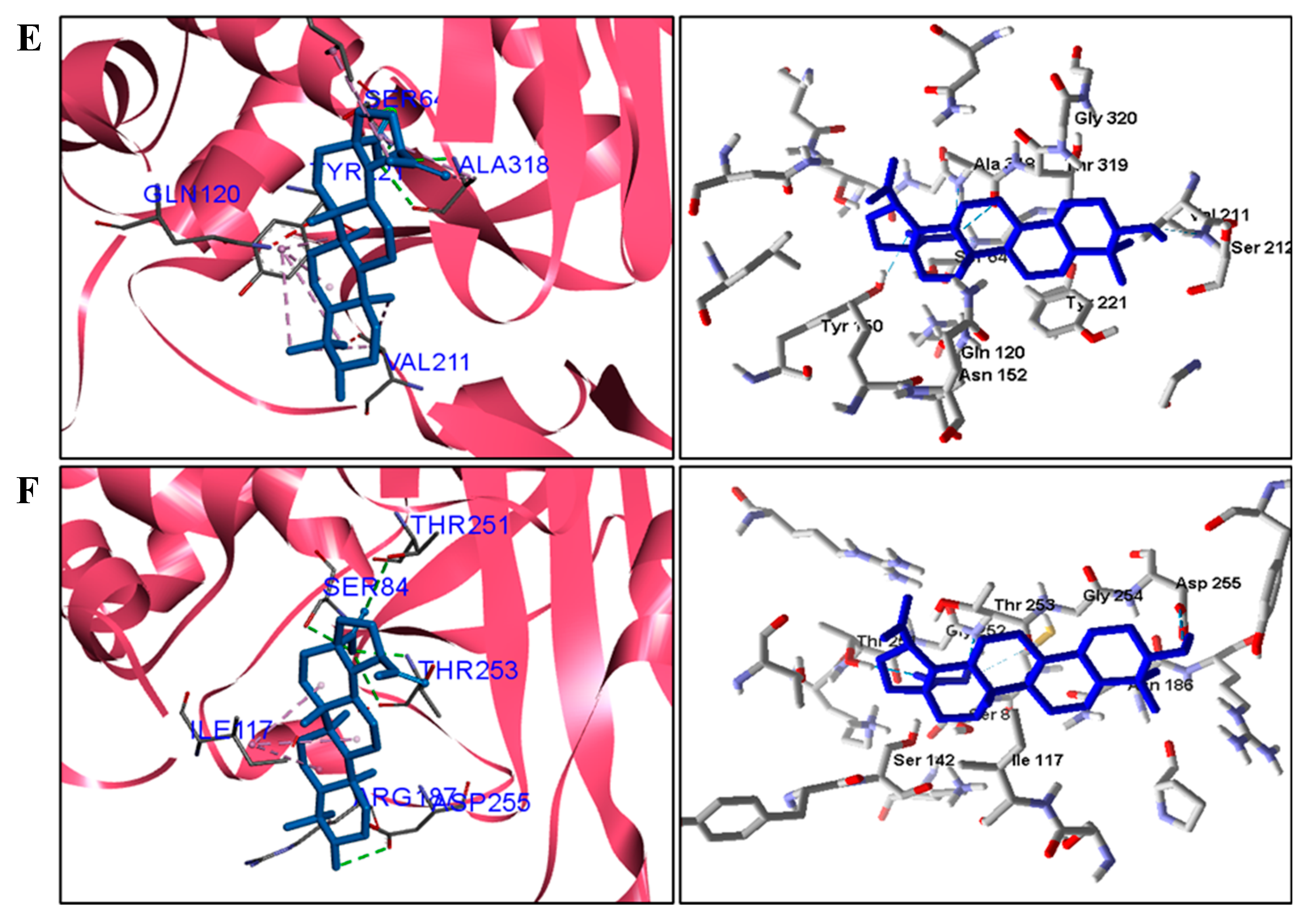 Pathogens 12 00449 g004b Pathogens 12 00449 g004b