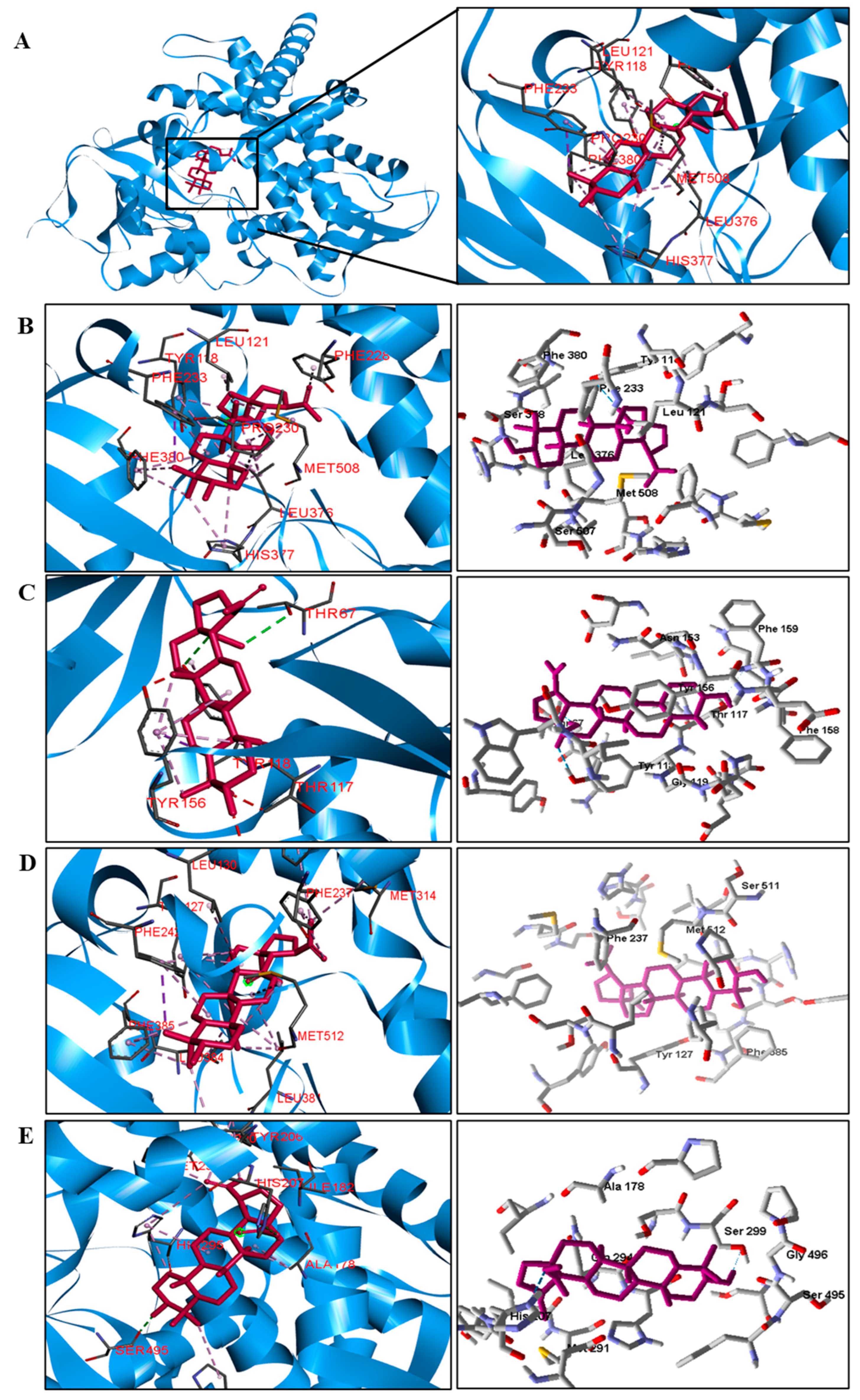 Pathogens 12 00449 g006 Pathogens 12 00449 g006