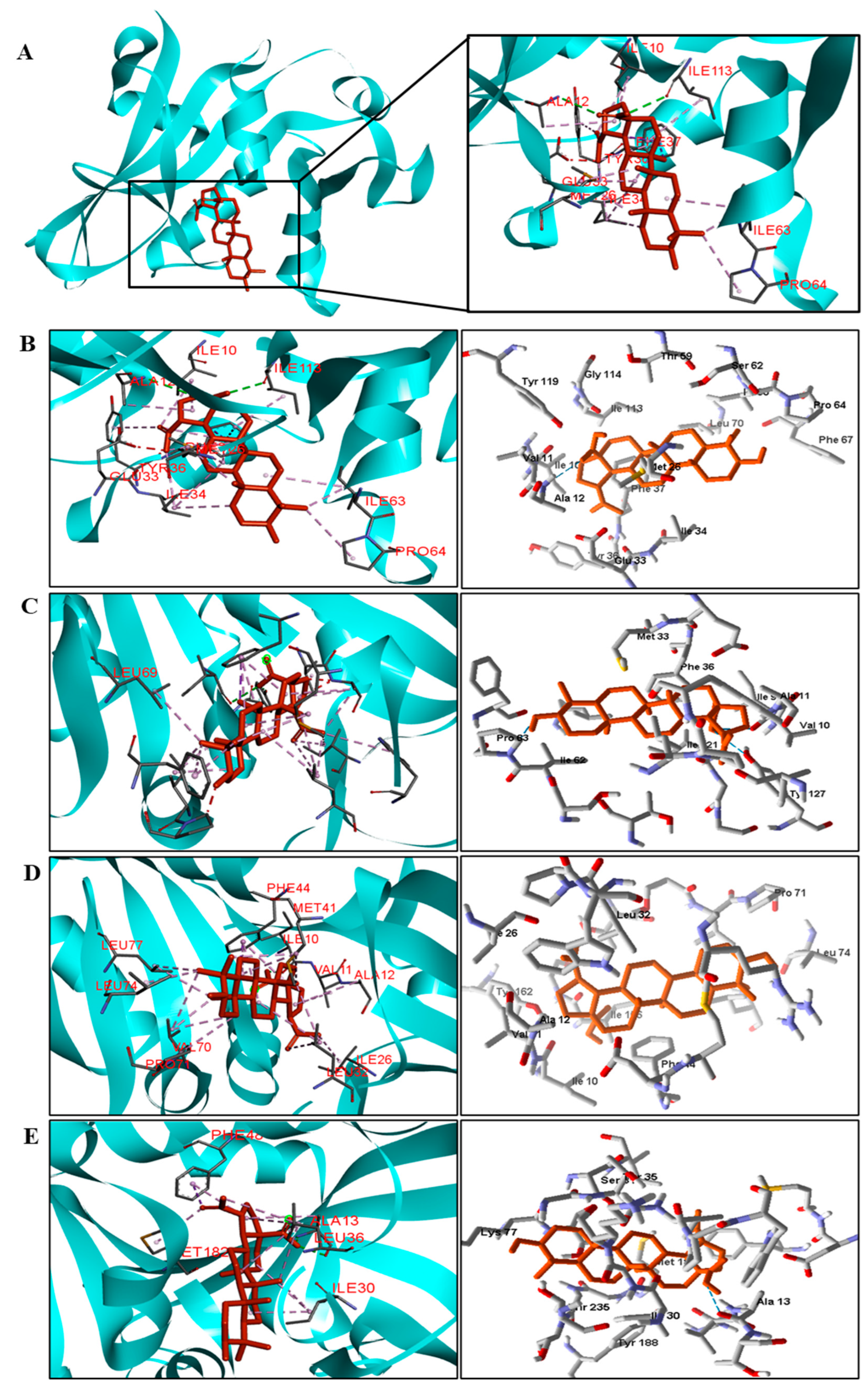 Pathogens 12 00449 g007 Pathogens 12 00449 g007