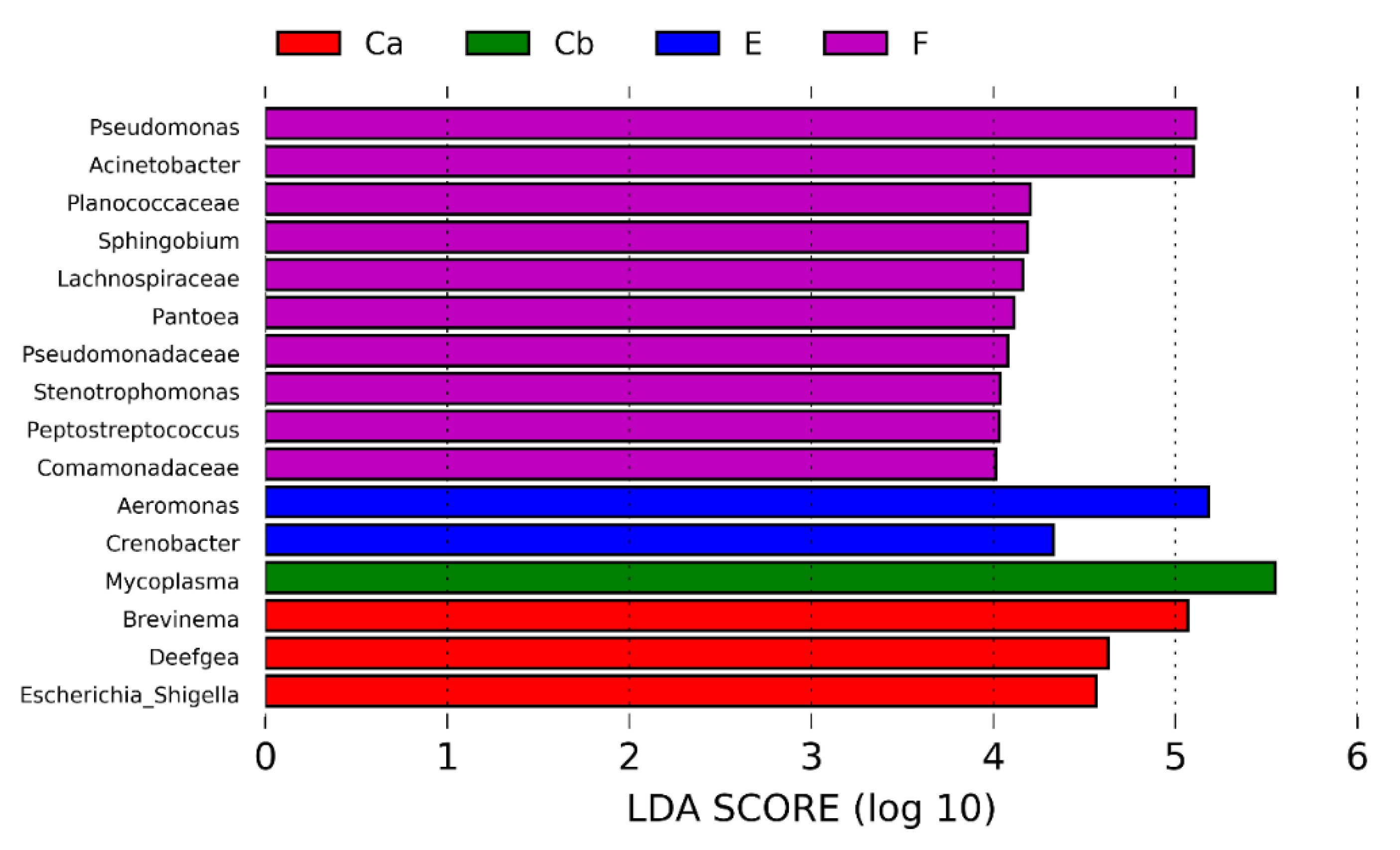 Pathogens 12 00454 g007 Pathogens 12 00454 g007