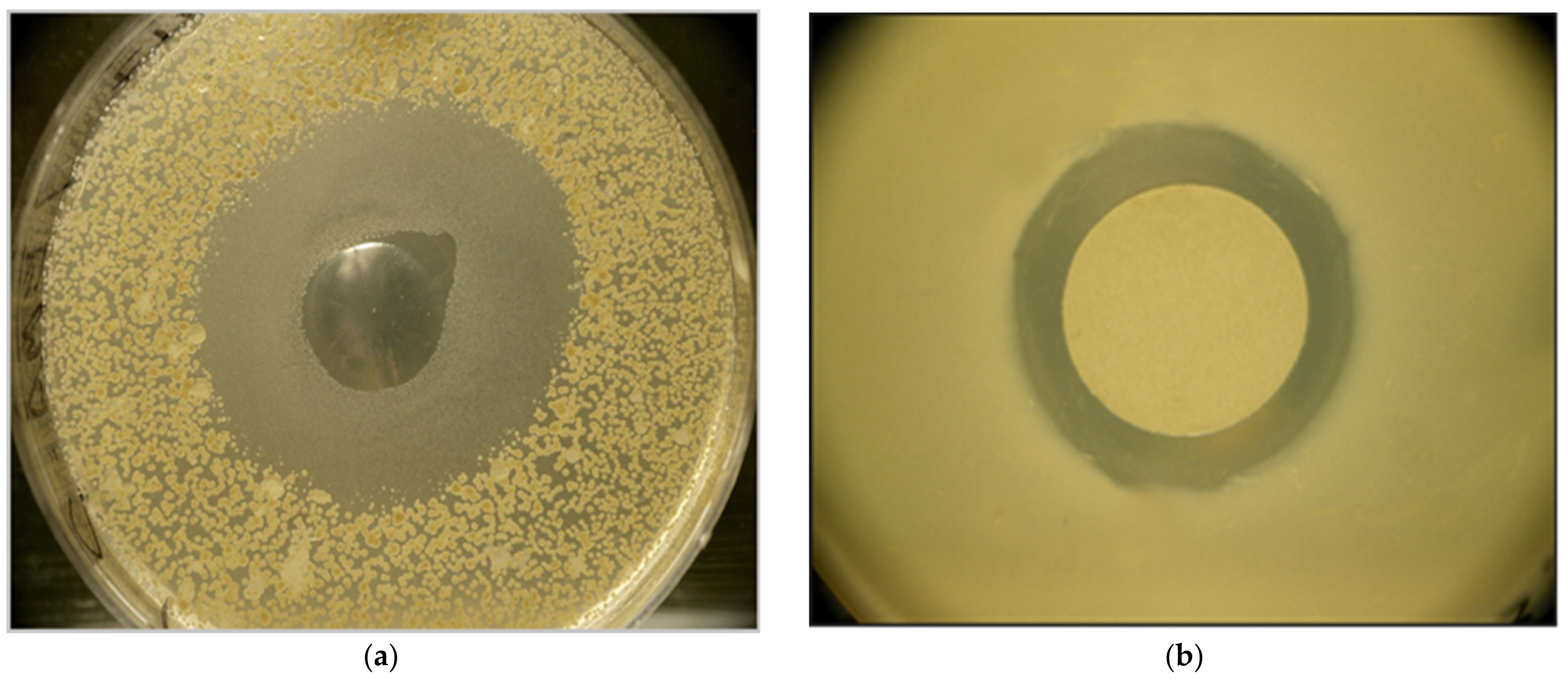 Pathogens 12 00458 g001 Pathogens 12 00458 g001