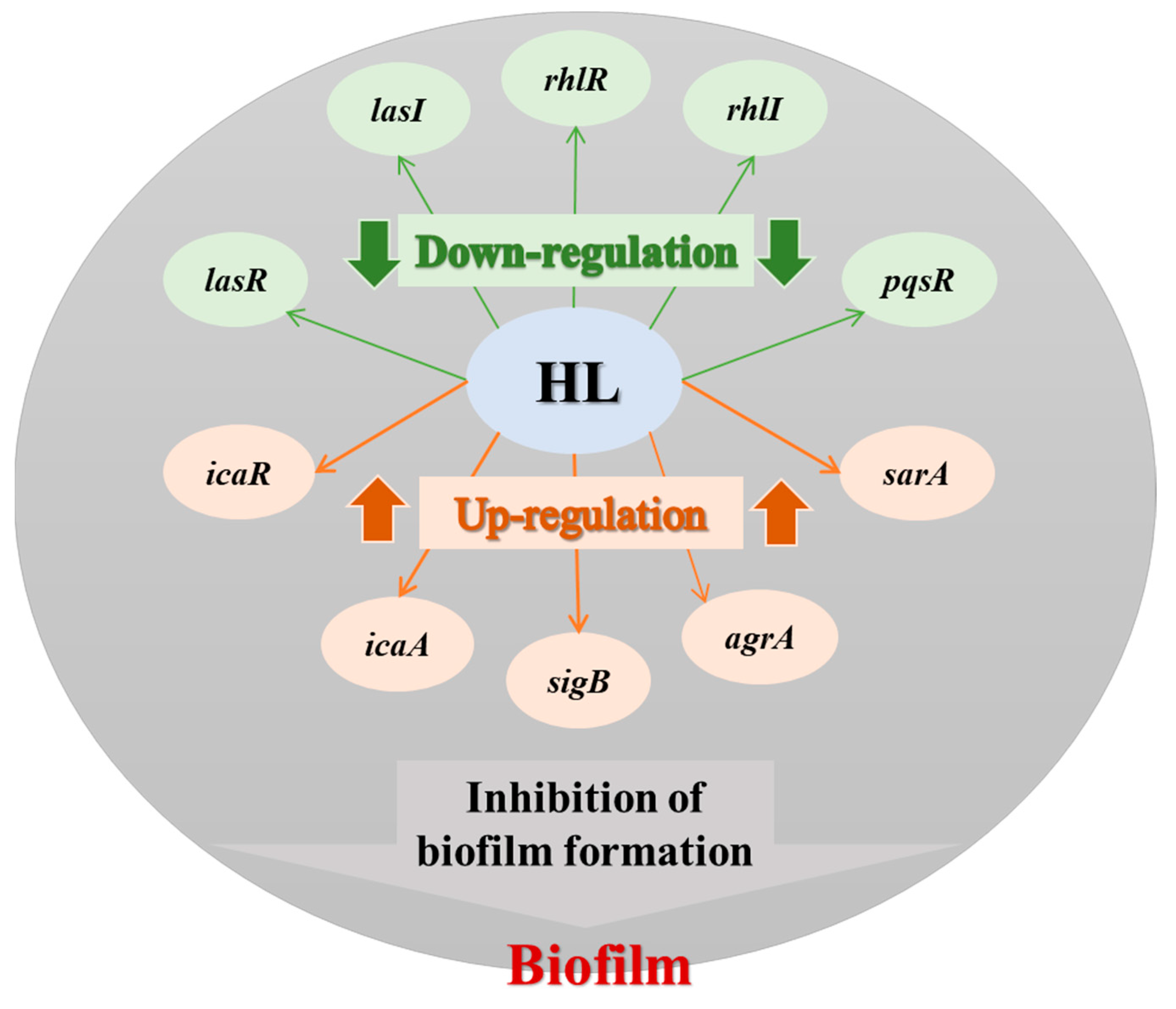 Pathogens 12 00501 g008 Pathogens 12 00501 g008