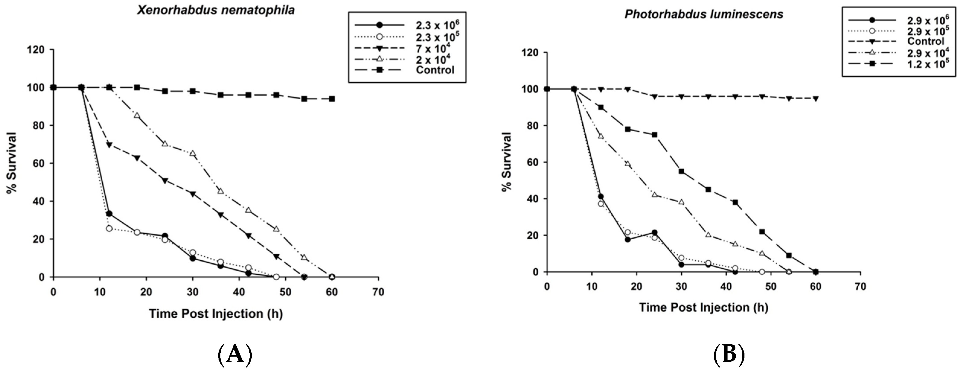 Pathogens 12 00506 g001 Pathogens 12 00506 g001