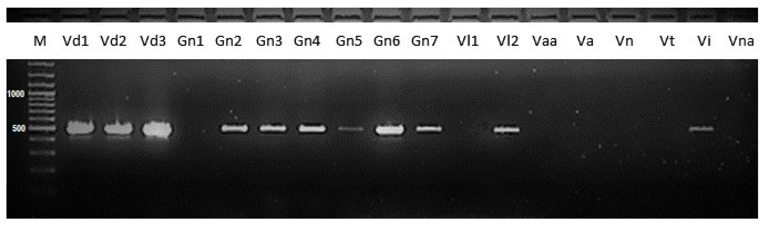 Pathogens 12 00535 g002