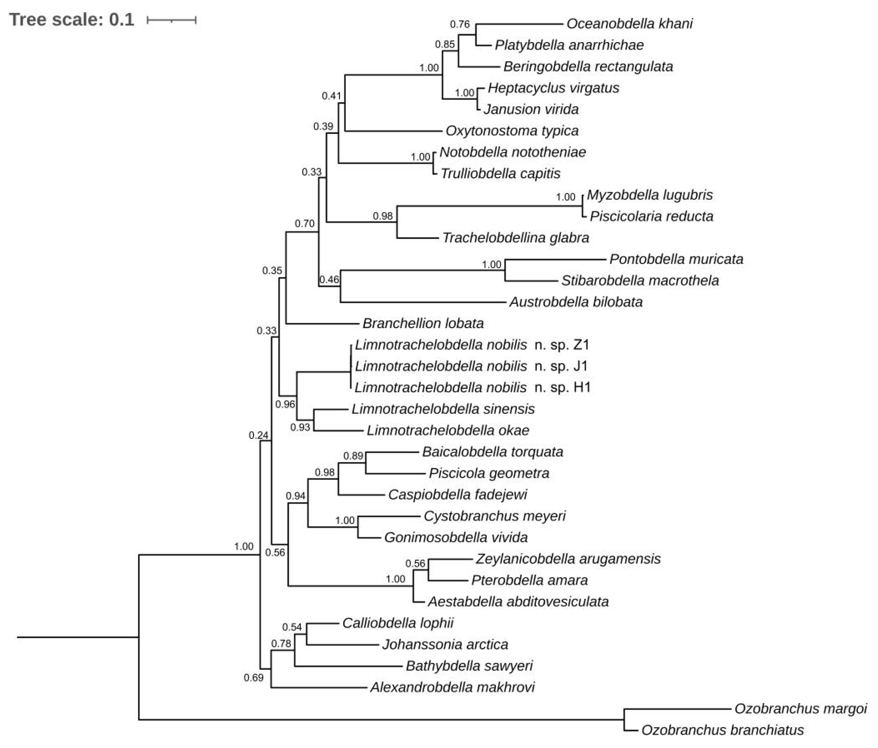 Pathogens 12 00562 g004 Pathogens 12 00562 g004