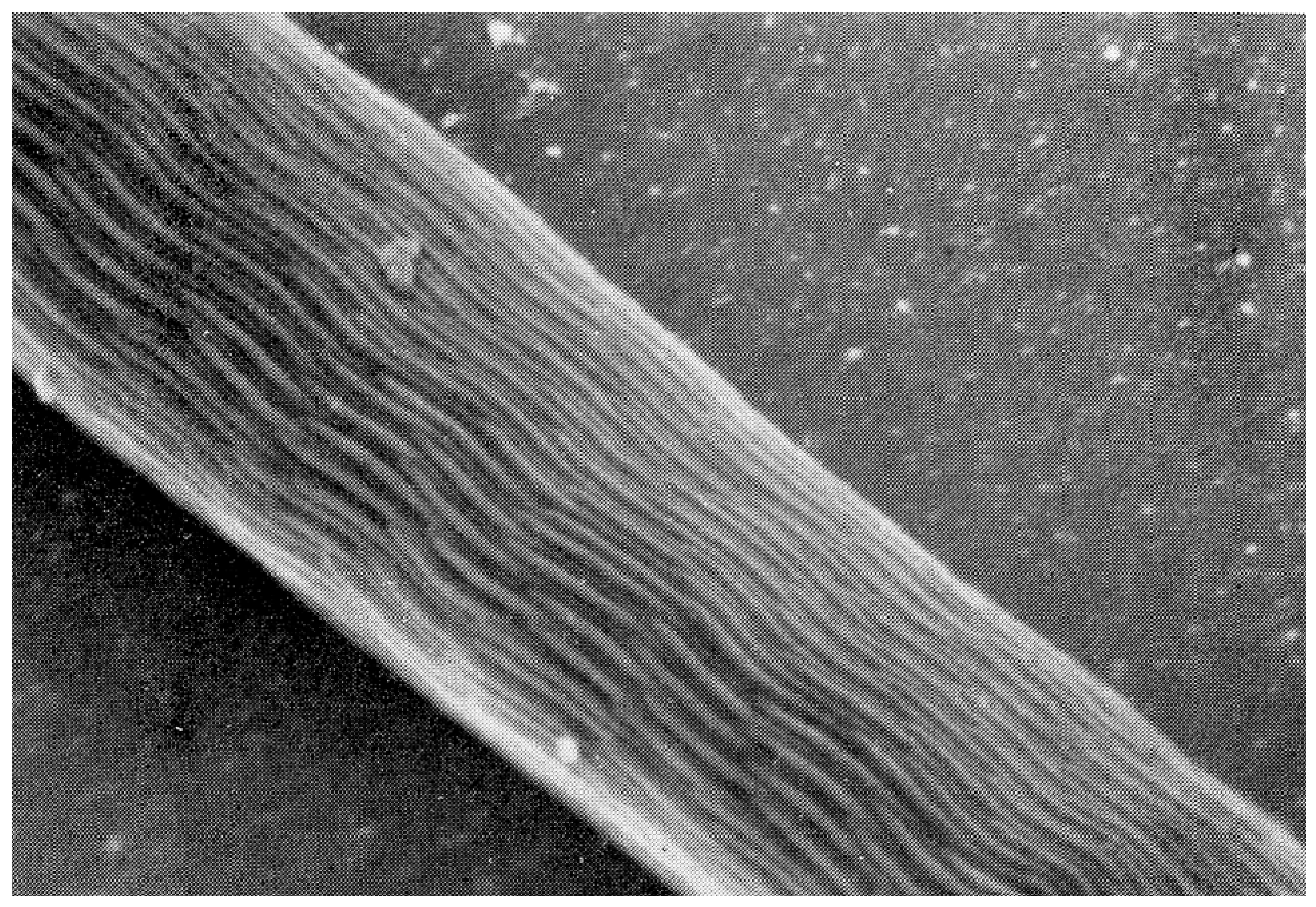 Pathogens 12 00582 g006 Pathogens 12 00582 g006