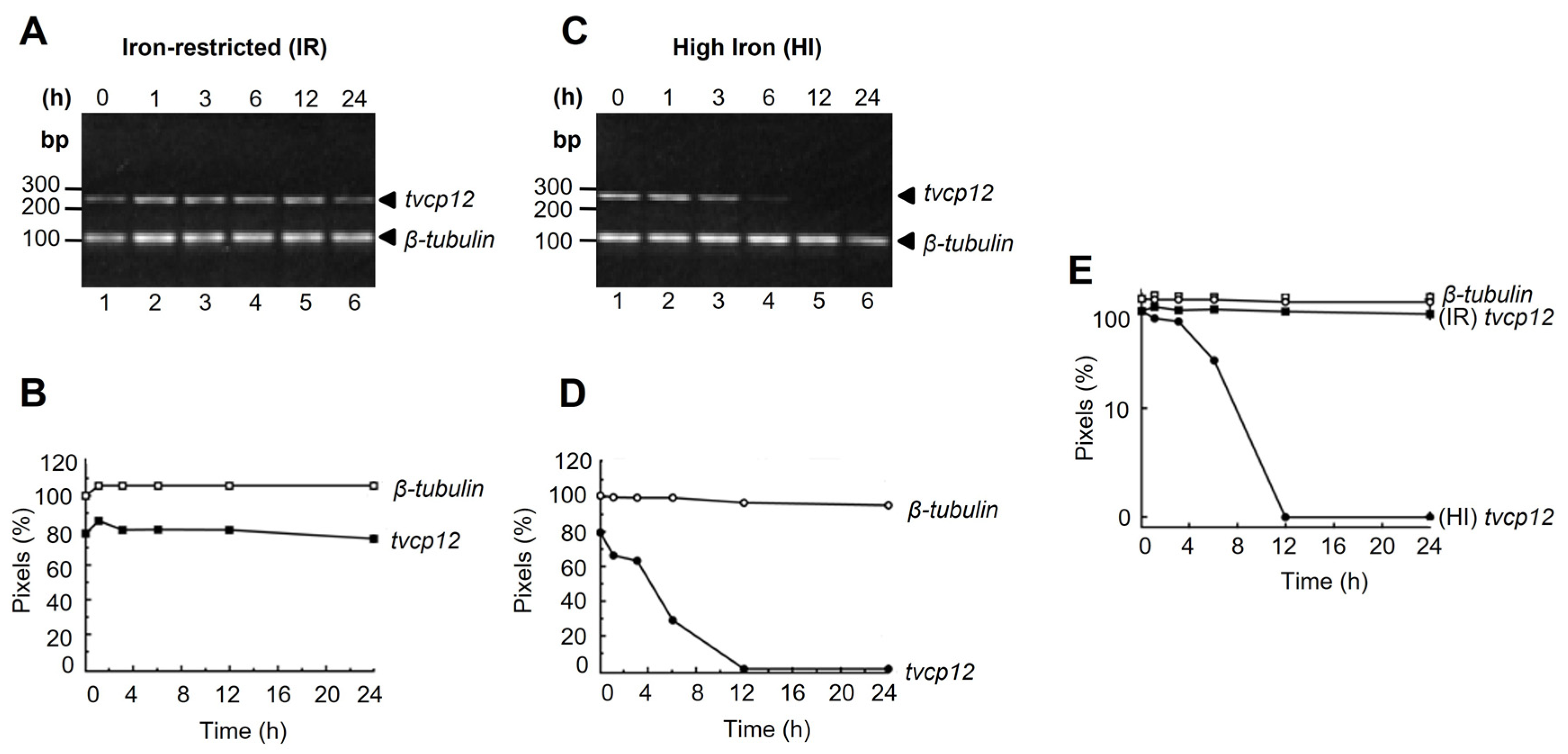 Pathogens 12 00586 g001 Pathogens 12 00586 g001