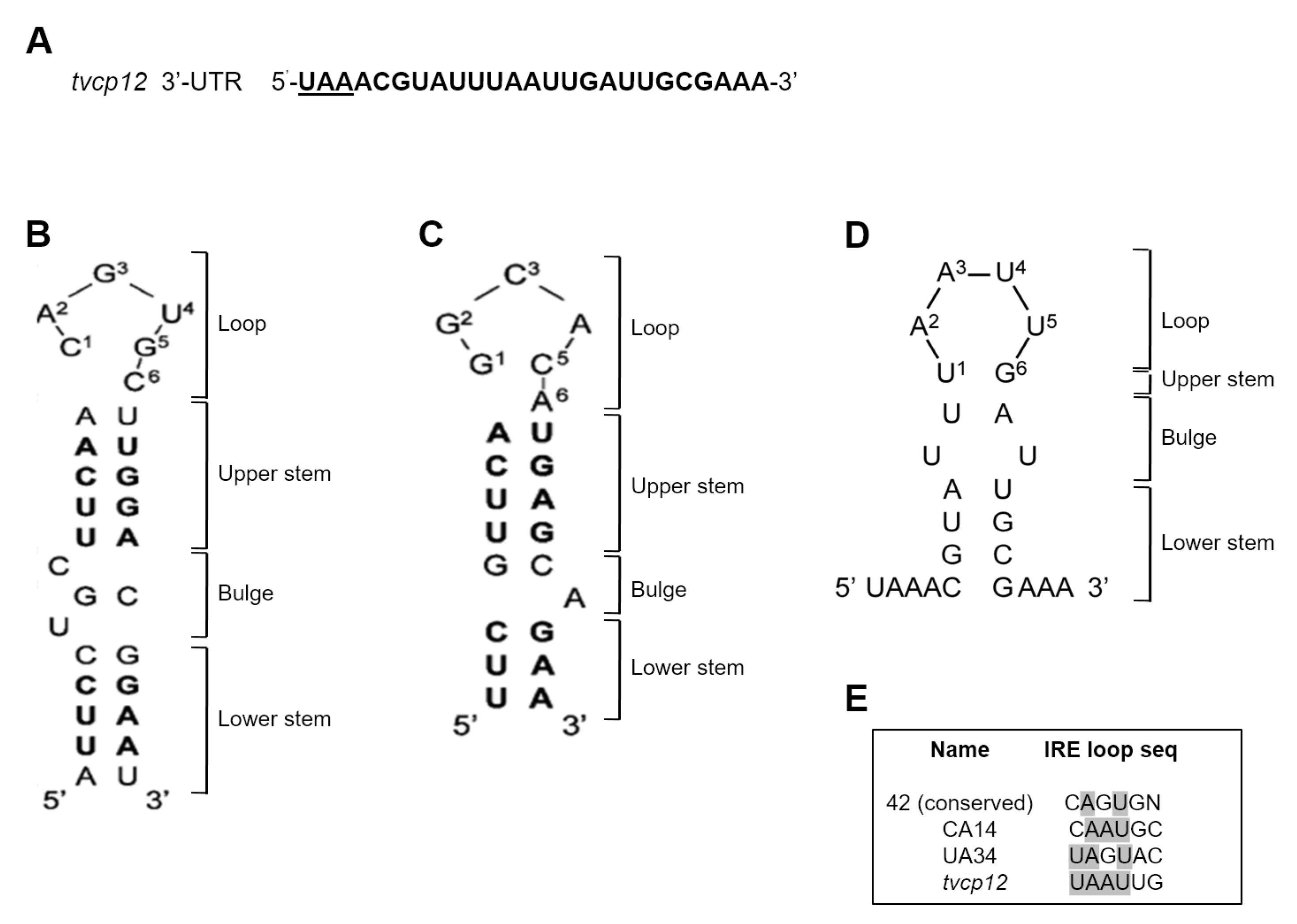 Pathogens 12 00586 g003 Pathogens 12 00586 g003