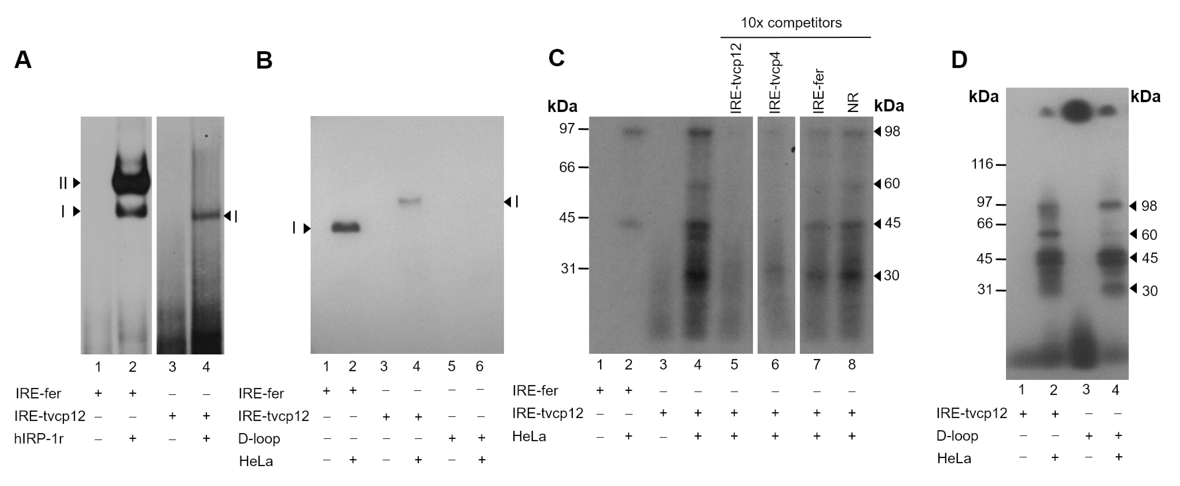 Pathogens 12 00586 g004 Pathogens 12 00586 g004