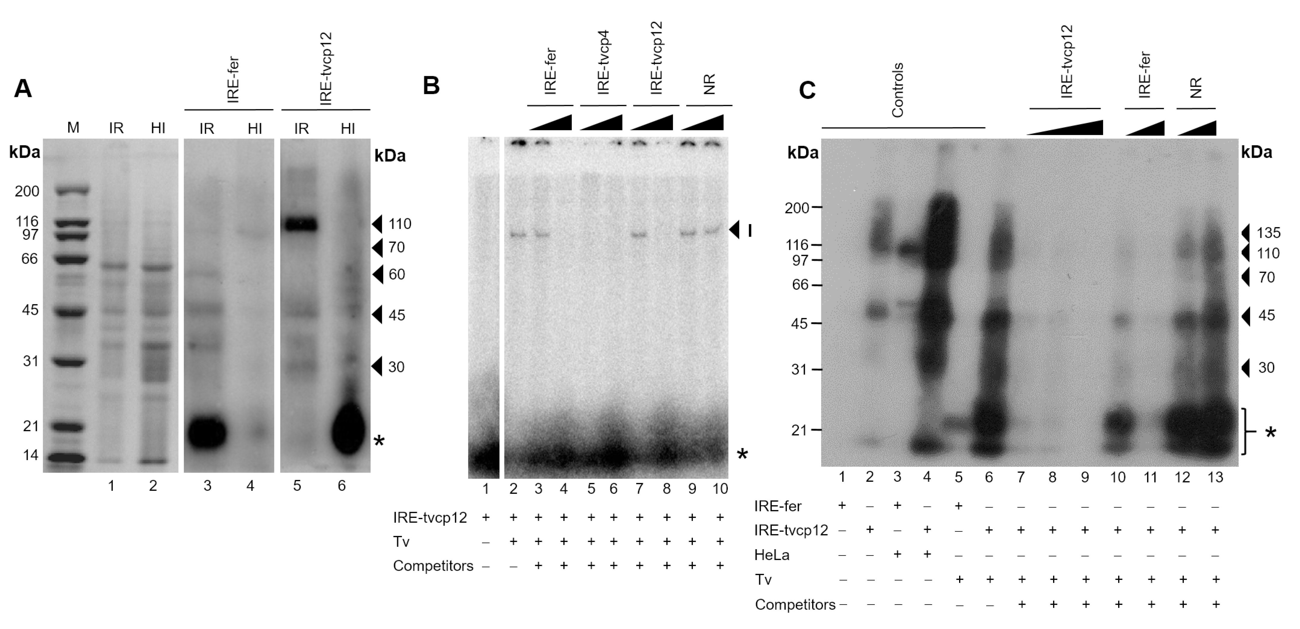Pathogens 12 00586 g005 Pathogens 12 00586 g005