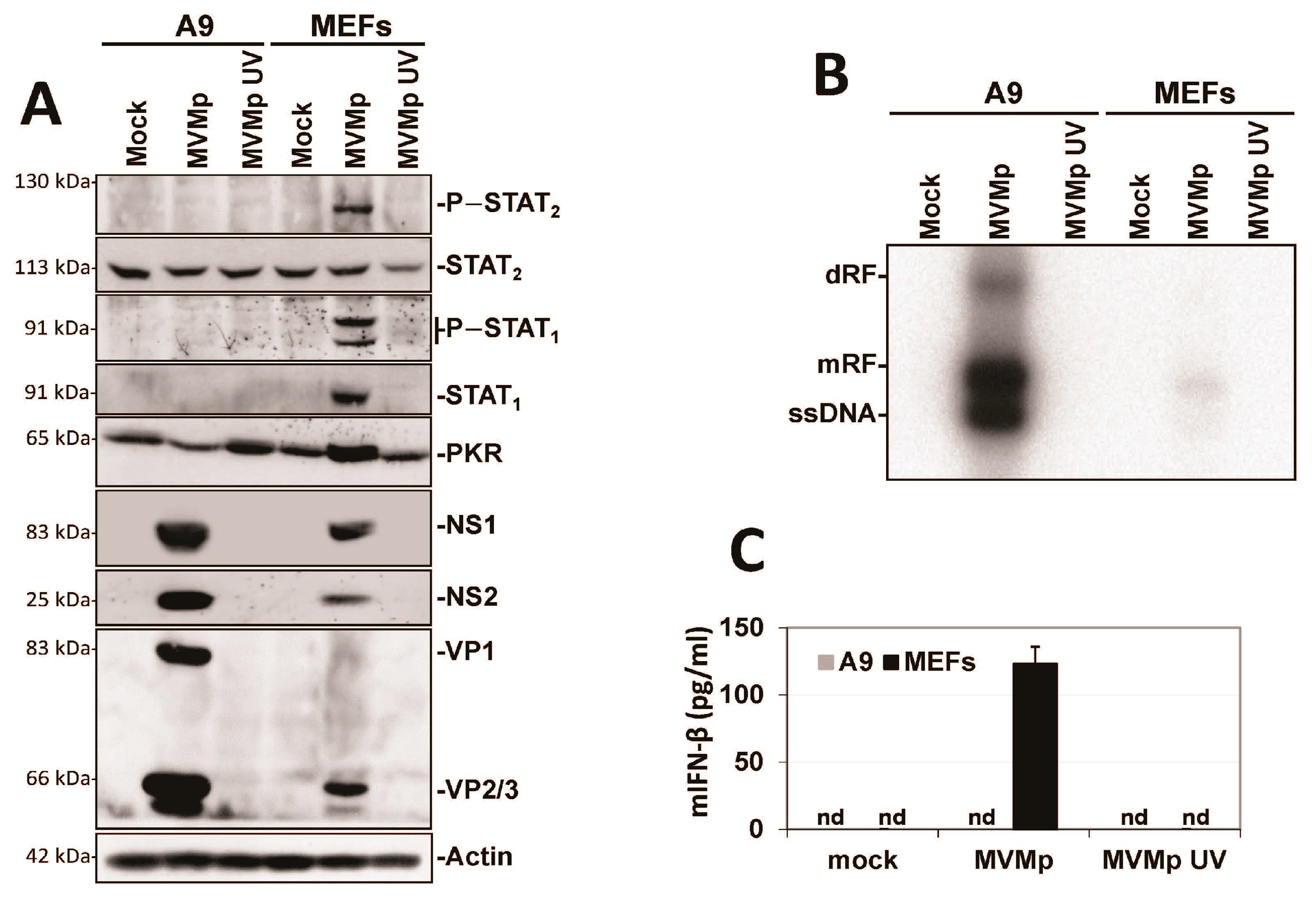 Pathogens 12 00607 g005