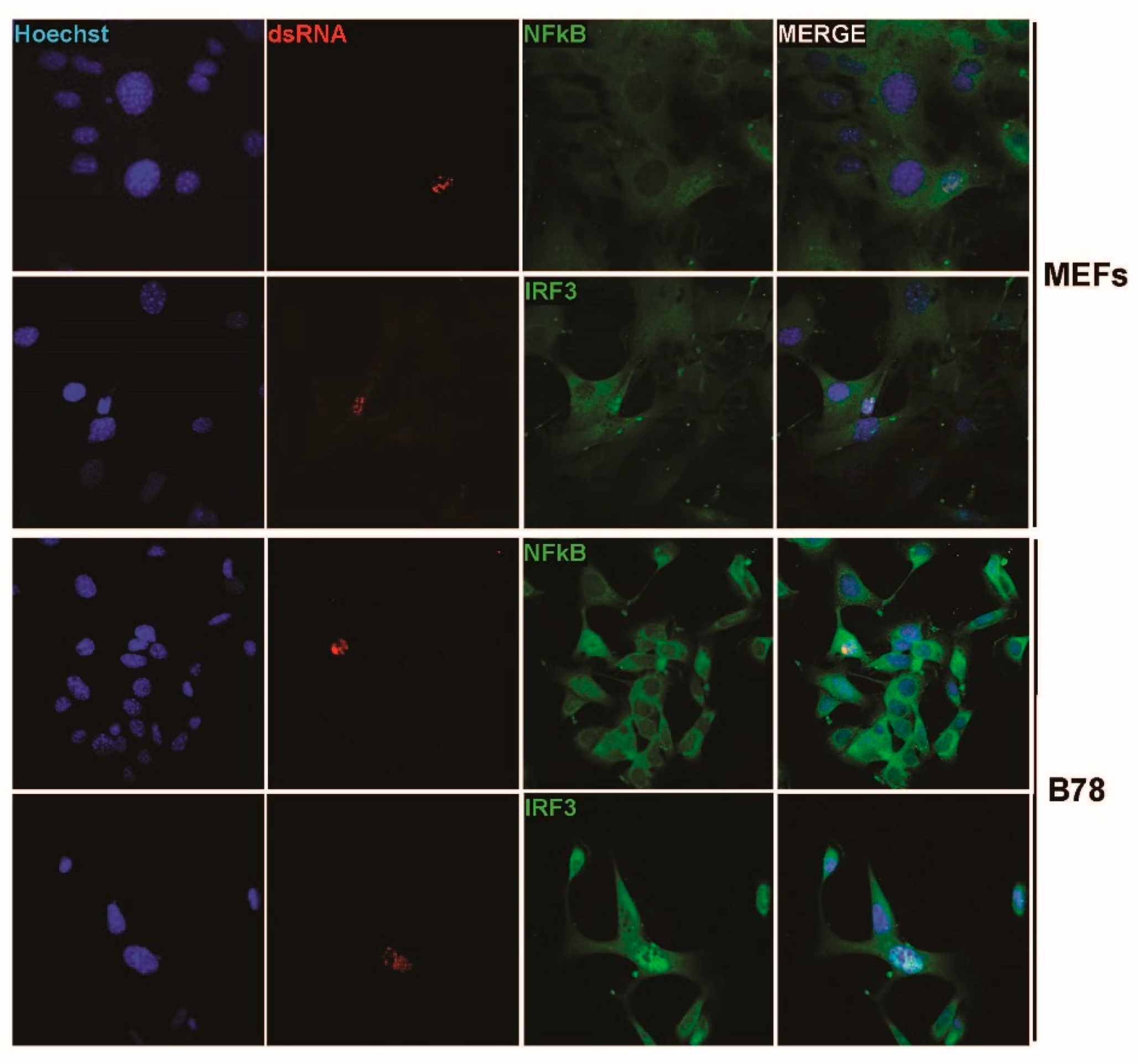Pathogens 12 00607 g007