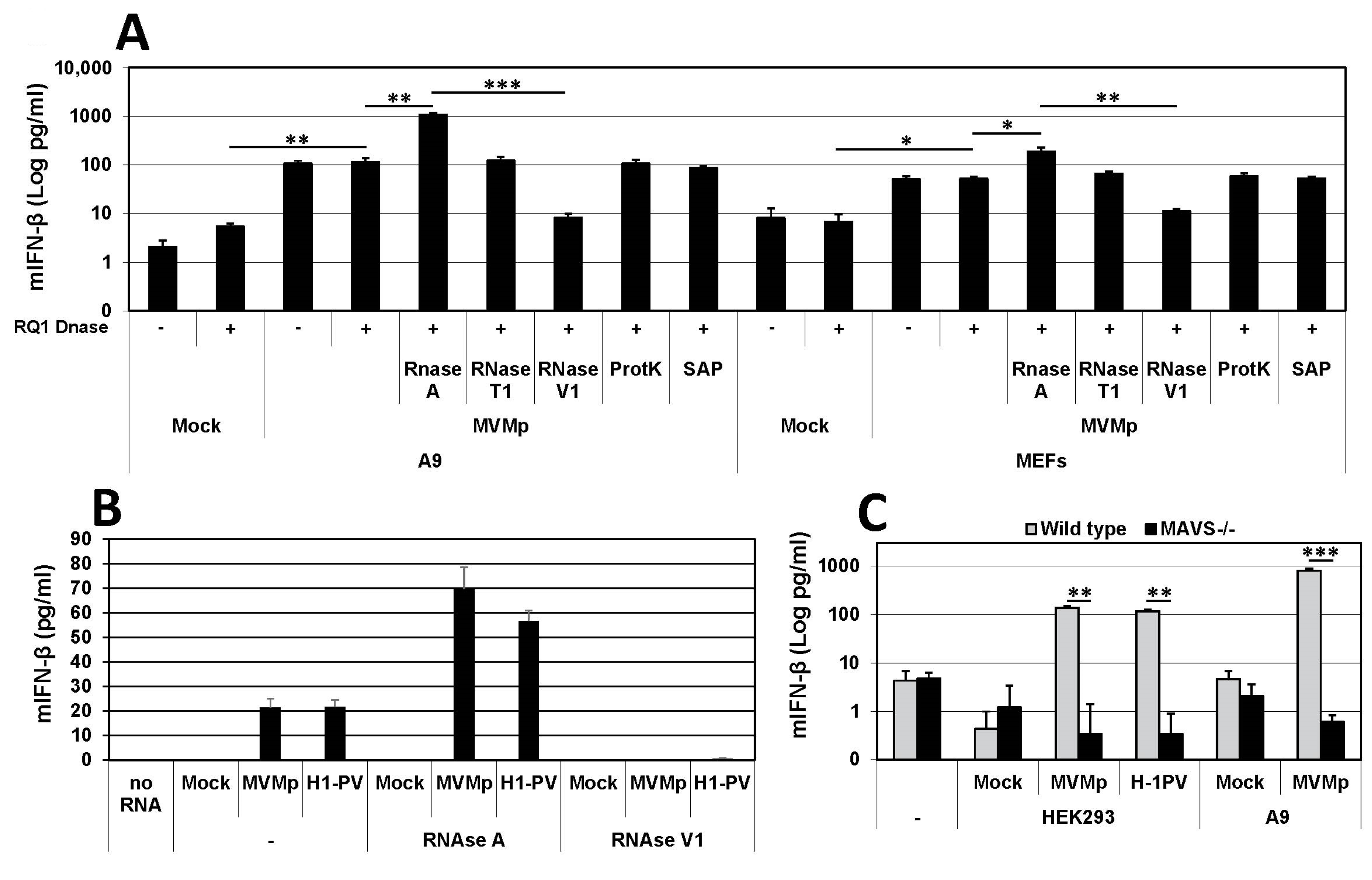 Pathogens 12 00607 g008