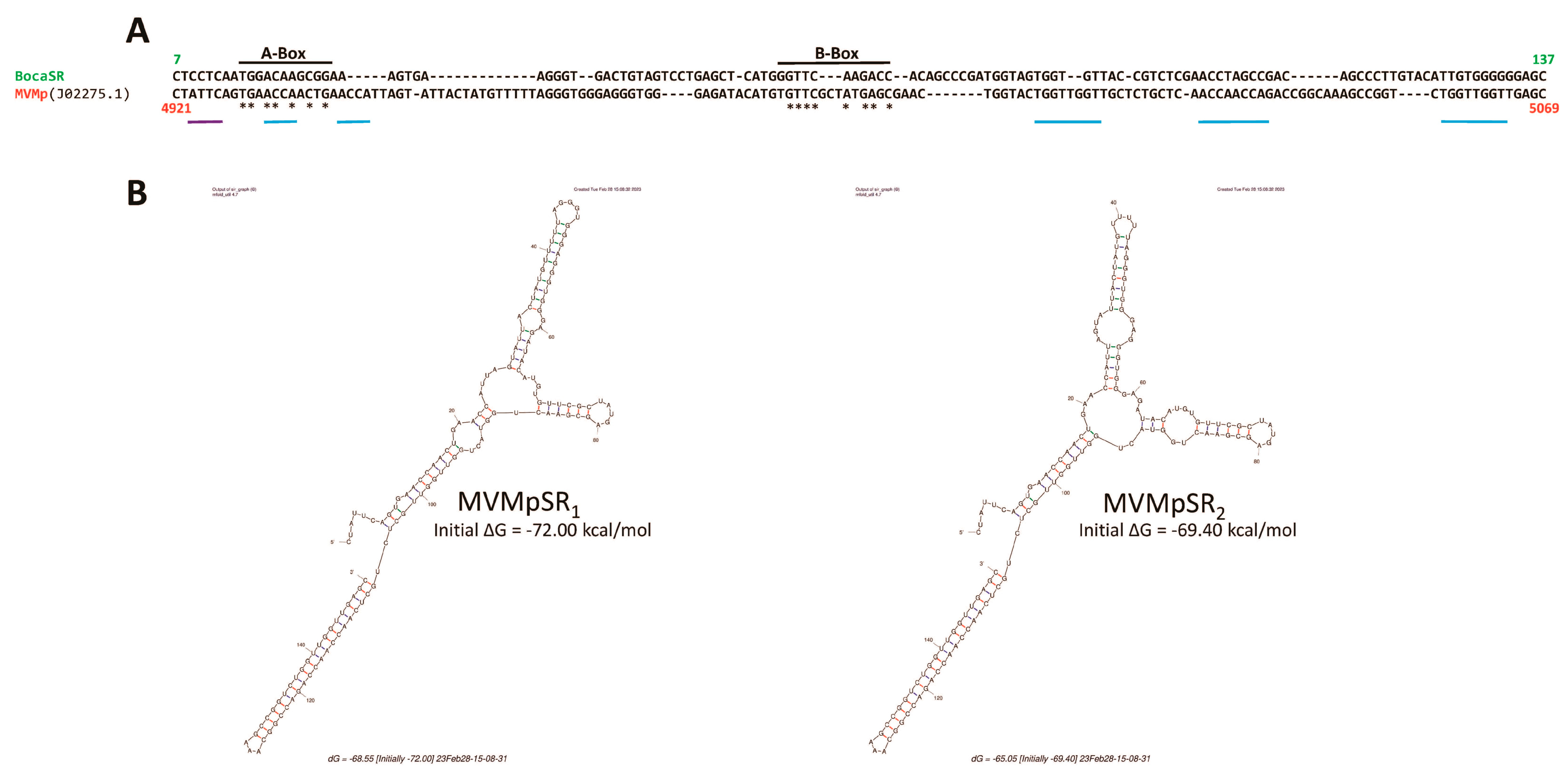 Pathogens 12 00607 g009