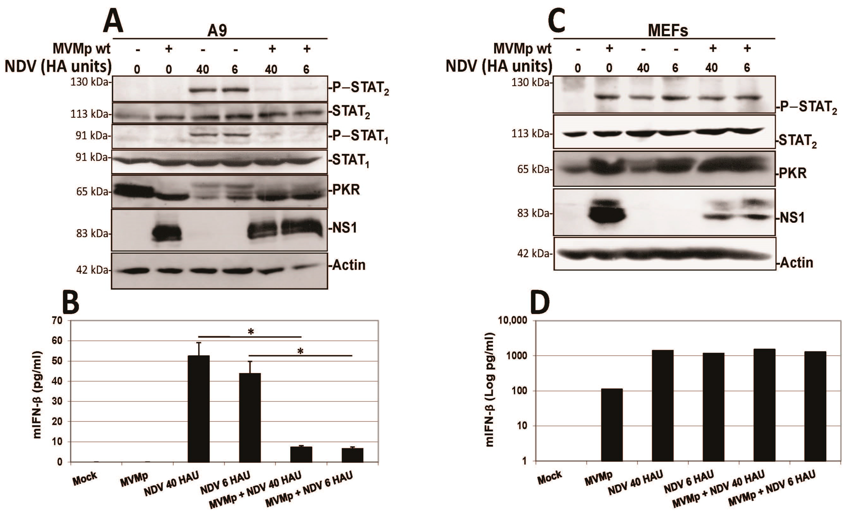 Pathogens 12 00607 g012