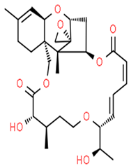 Pathogens 12 00617 i002 Pathogens 12 00617 i002