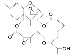 Pathogens 12 00617 i021 Pathogens 12 00617 i021