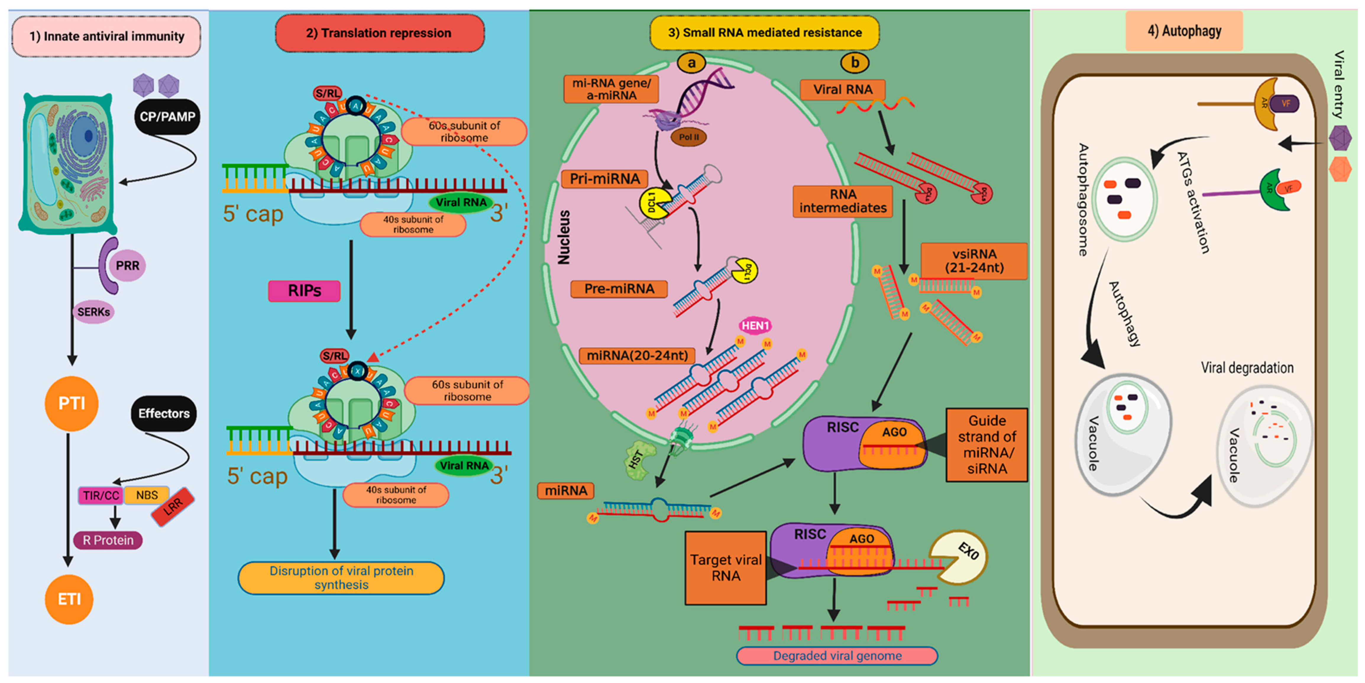 Pathogens 12 00619 g002