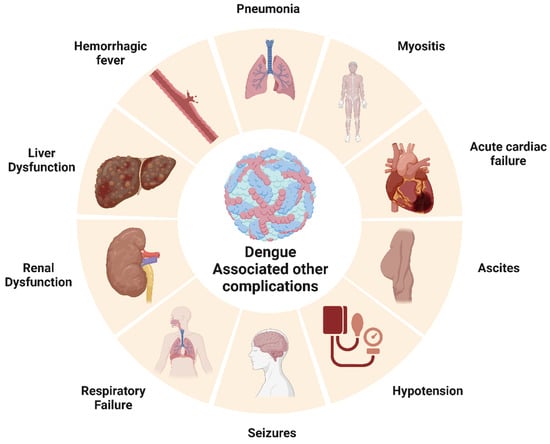 Pathogens | Free Full-Text | Mechanism of Immune Evasion in Mosquito ...