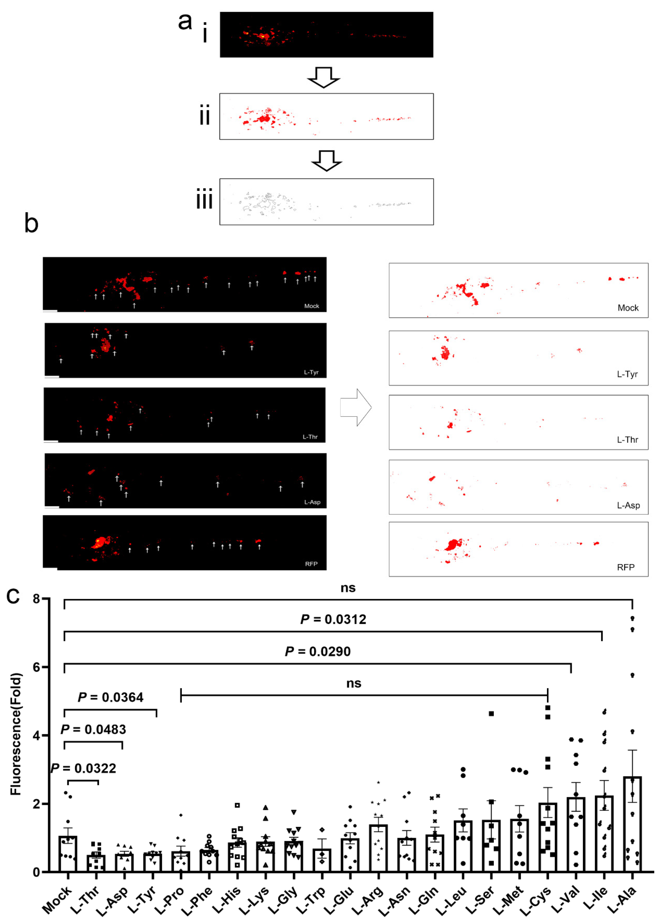 Pathogens 12 00654 g001 Pathogens 12 00654 g001