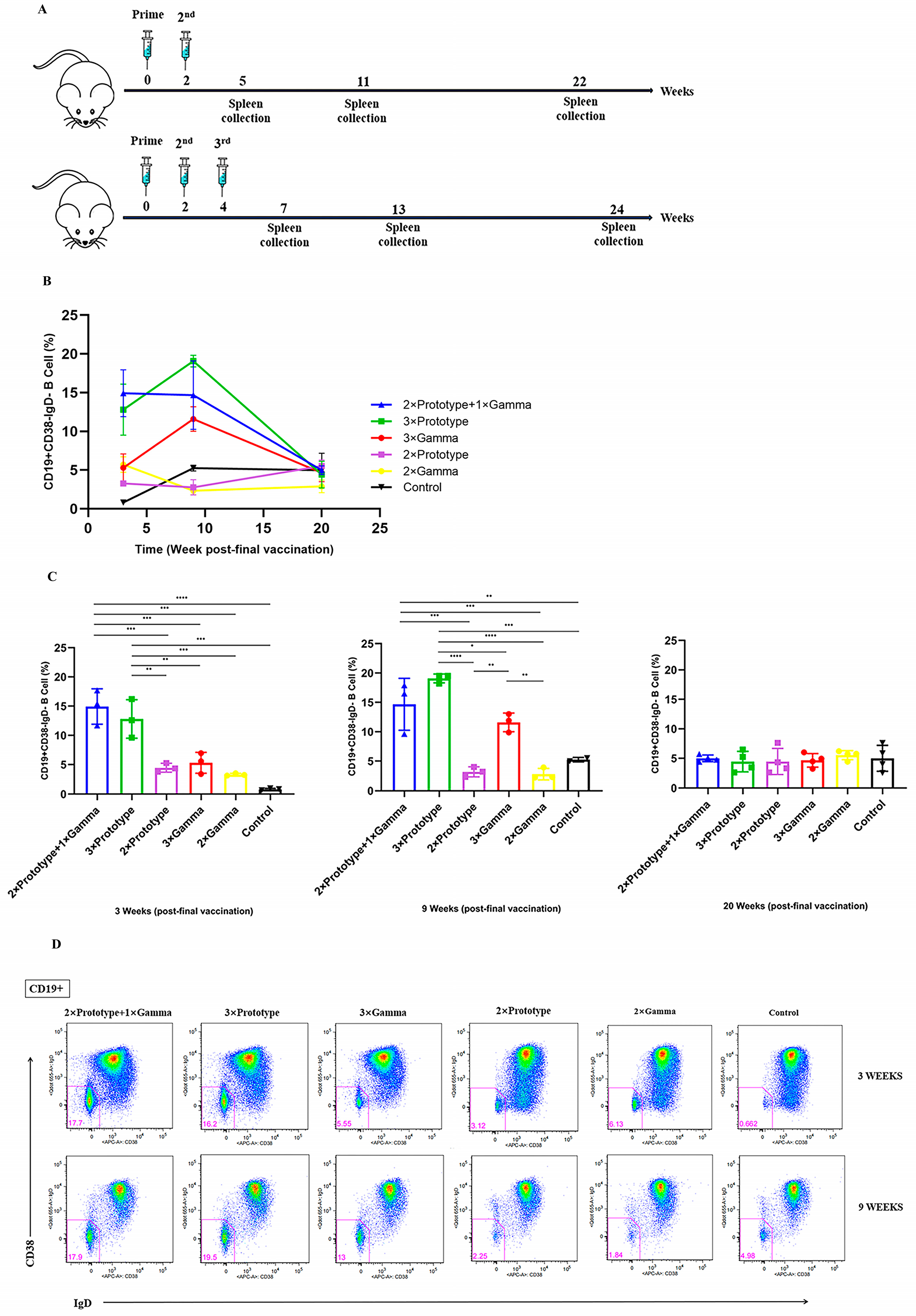 Pathogens 12 00655 g003