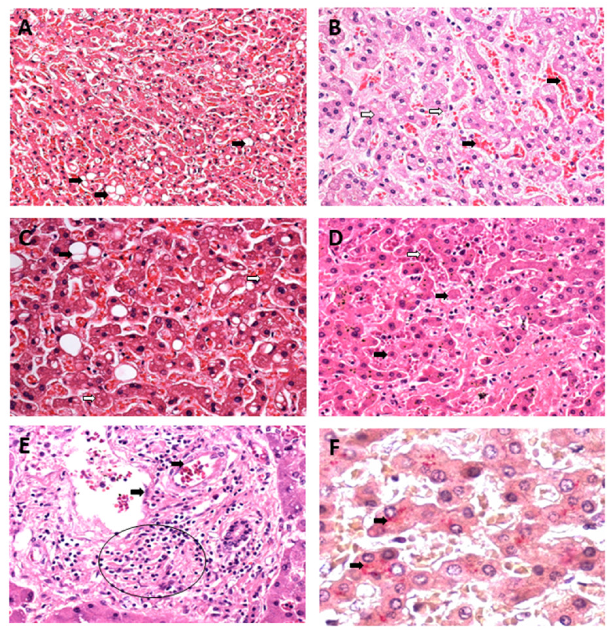 Pathogens 12 00680 g003
