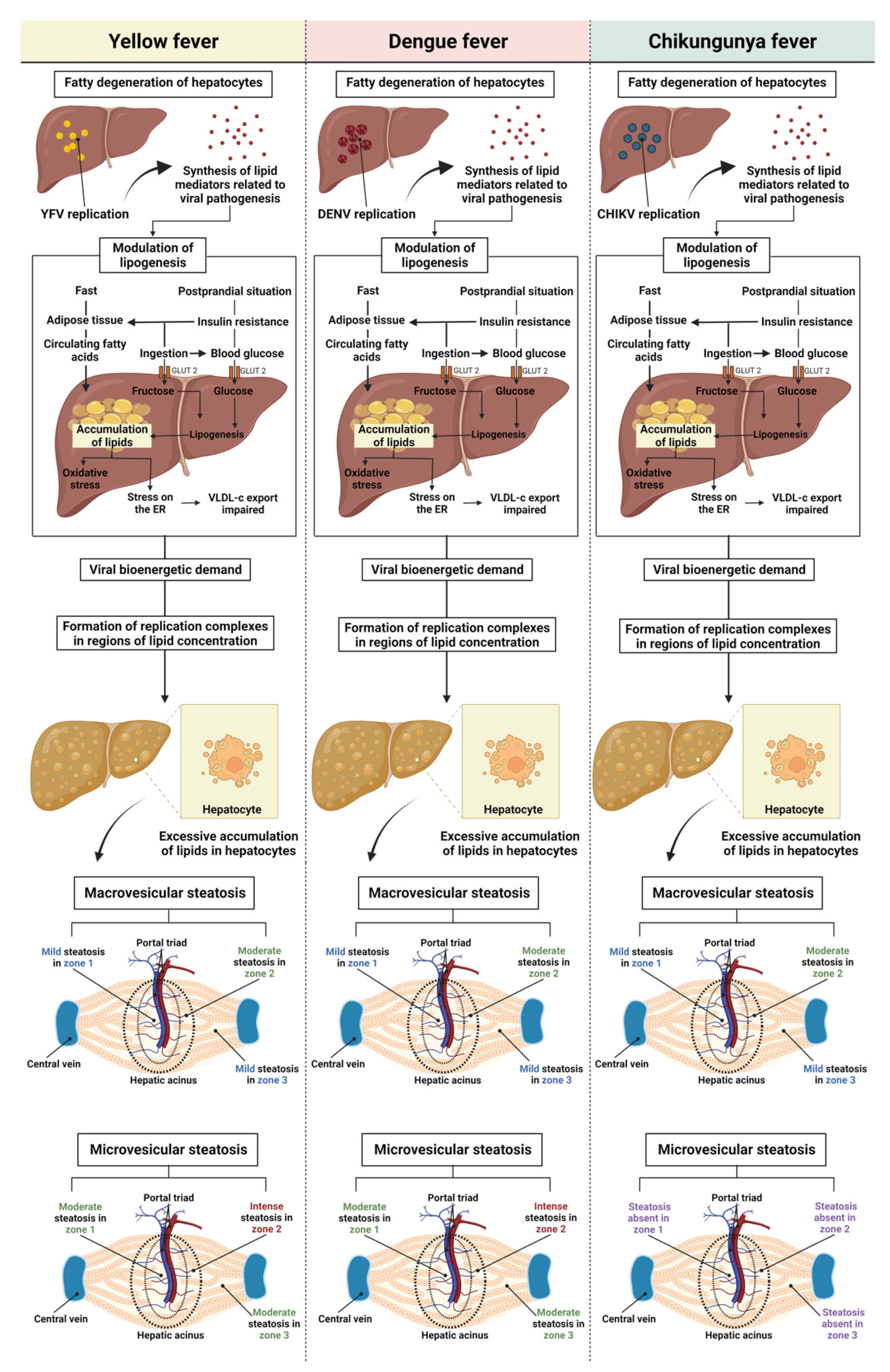 Pathogens 12 00680 g009